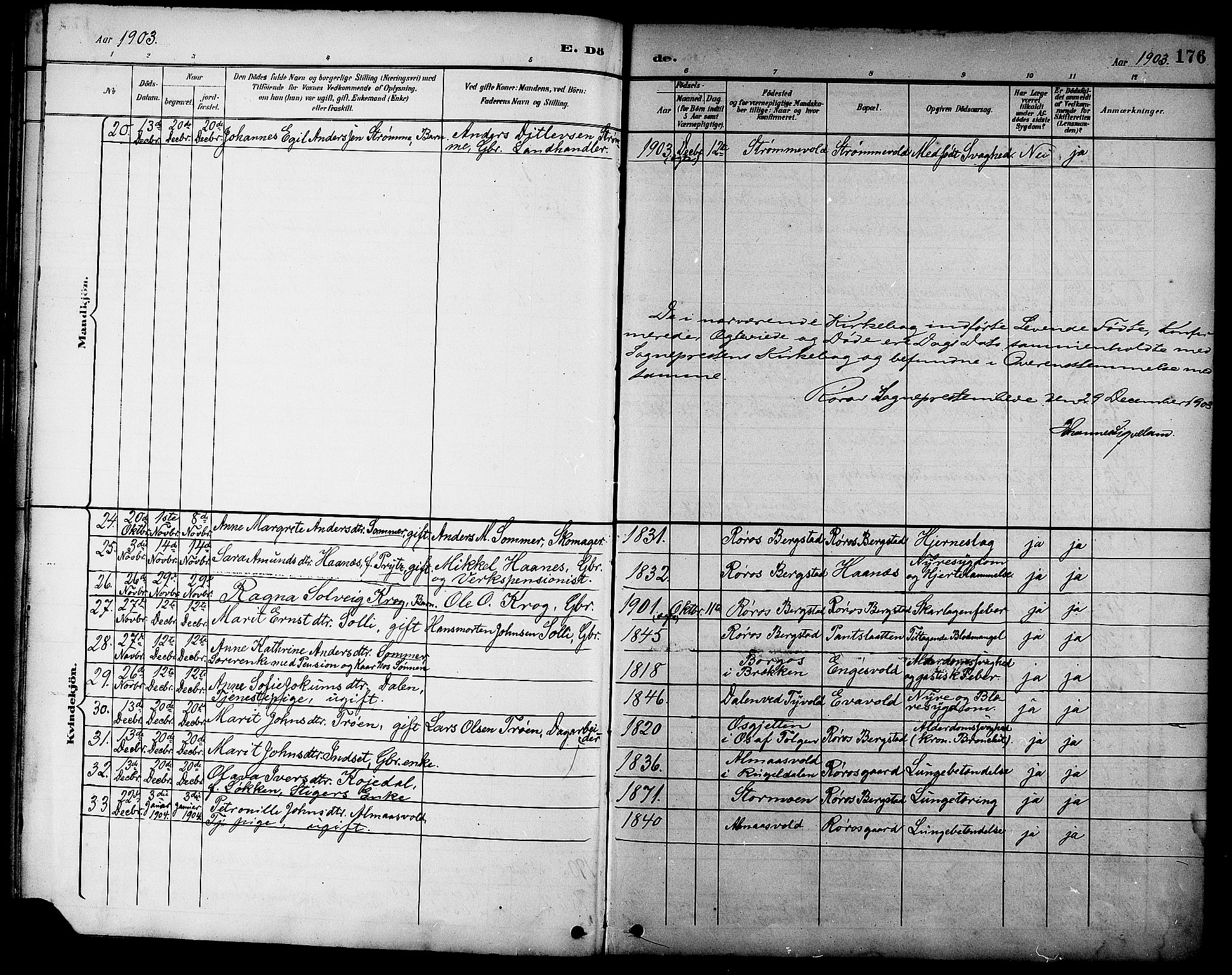 Ministerialprotokoller, klokkerbøker og fødselsregistre - Sør-Trøndelag, SAT/A-1456/681/L0941: Parish register (copy) no. 681C05, 1896-1905, p. 176