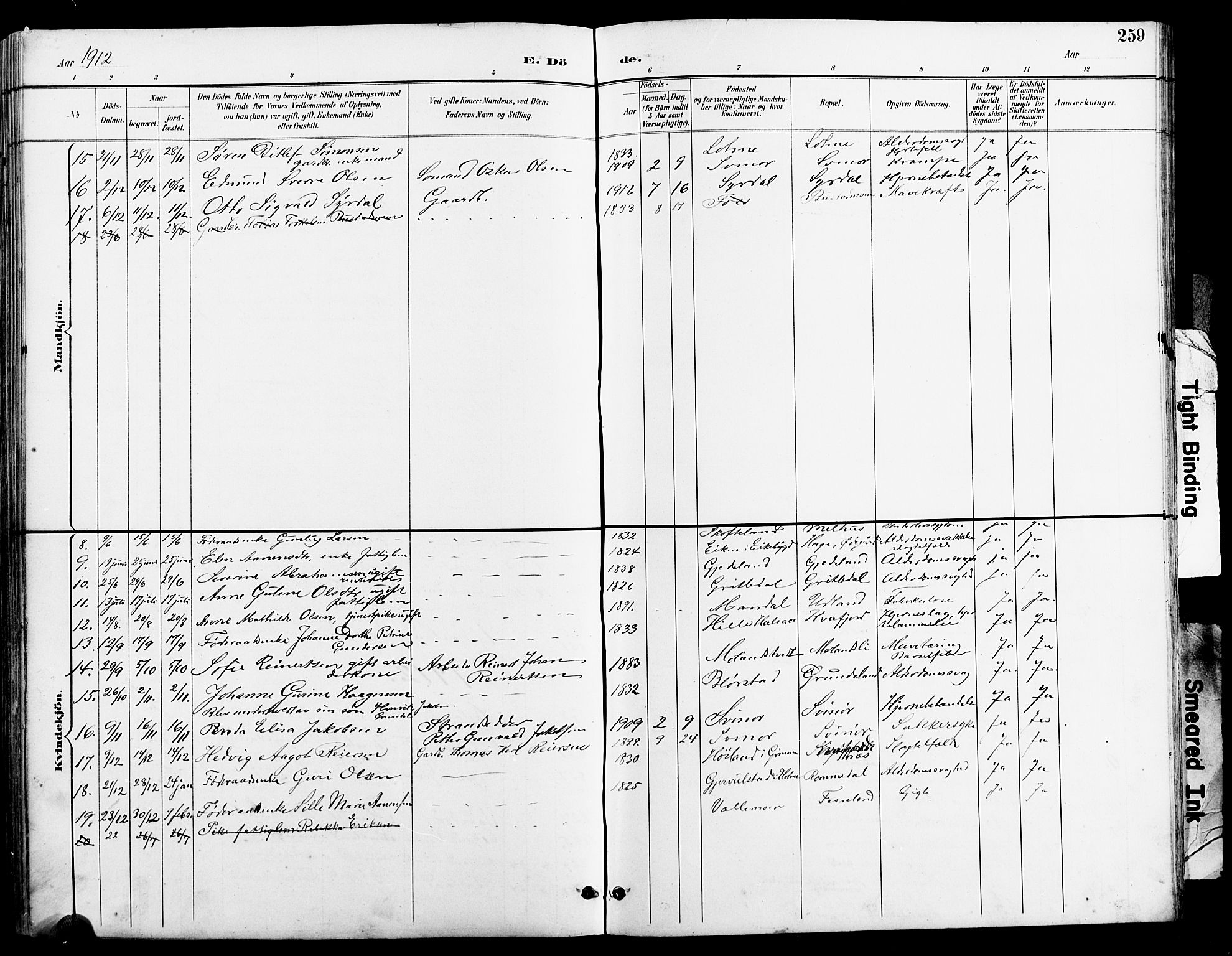 Sør-Audnedal sokneprestkontor, AV/SAK-1111-0039/F/Fb/Fbb/L0006: Parish register (copy) no. B 6, 1893-1915, p. 259