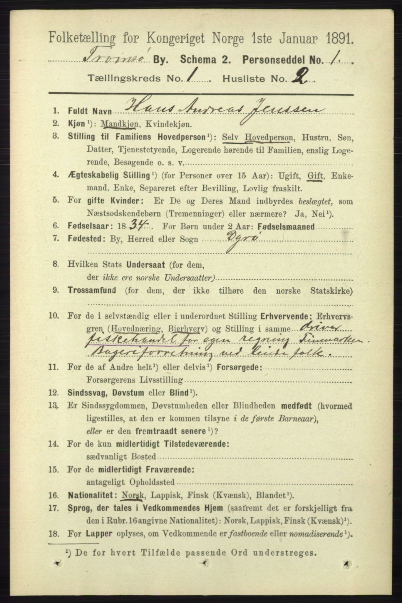 RA, 1891 census for 1902 Tromsø, 1891, p. 295