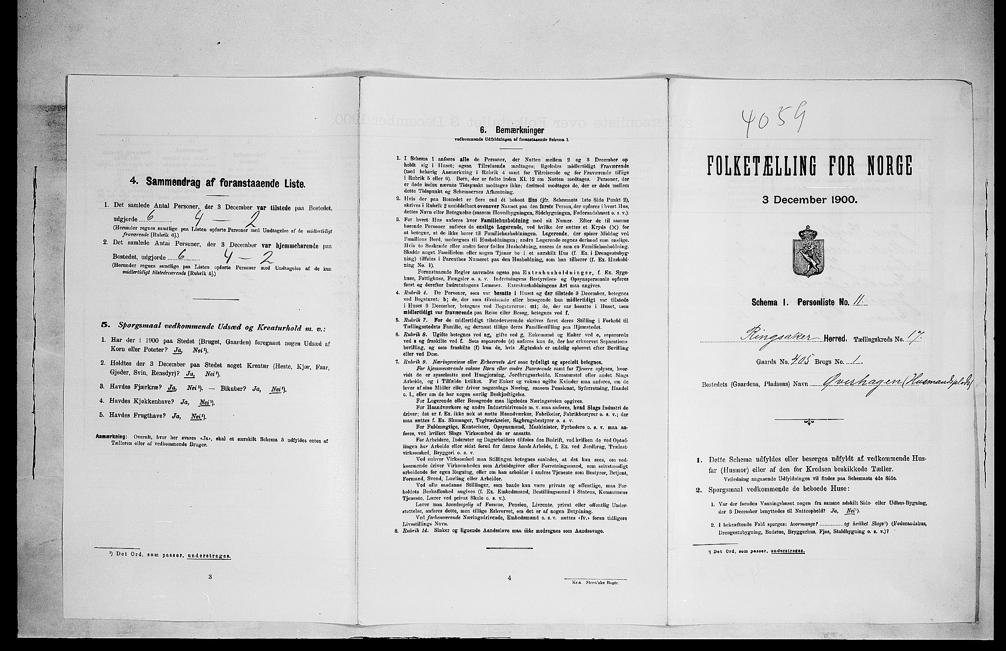 SAH, 1900 census for Ringsaker, 1900, p. 3118