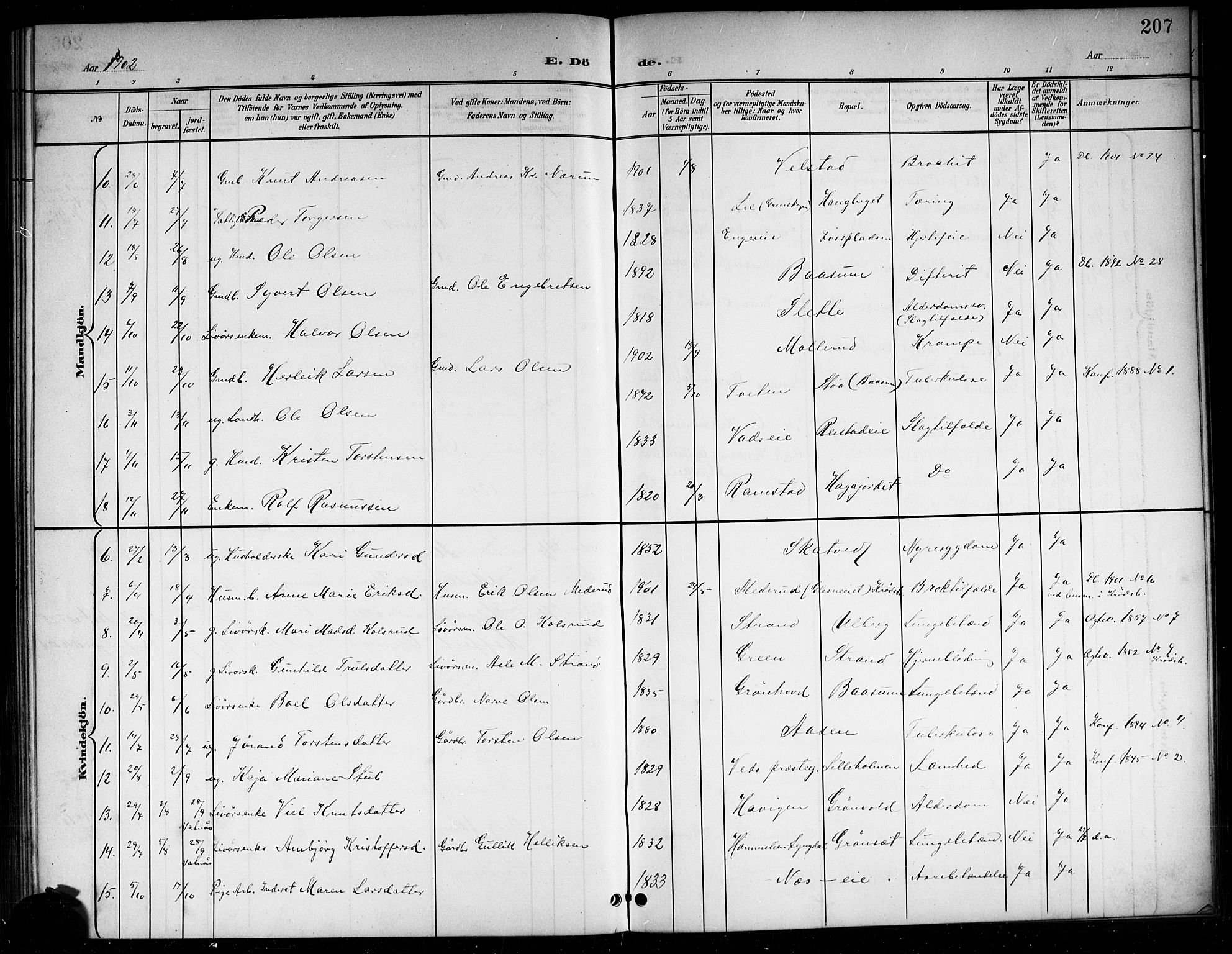 Sigdal kirkebøker, AV/SAKO-A-245/G/Ga/L0006: Parish register (copy) no. I 6, 1901-1916, p. 207