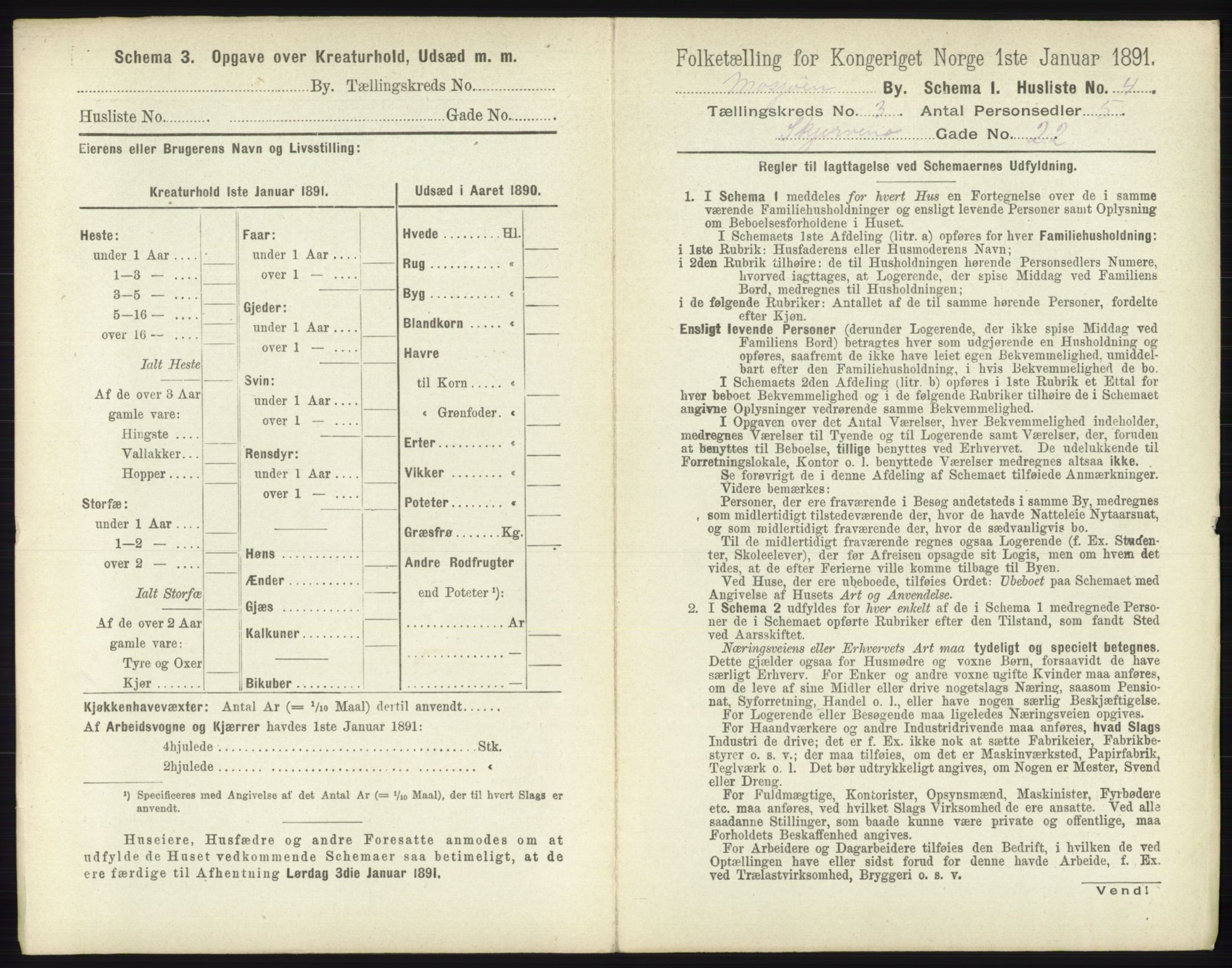 RA, 1891 census for 1802 Mosjøen, 1891, p. 1134