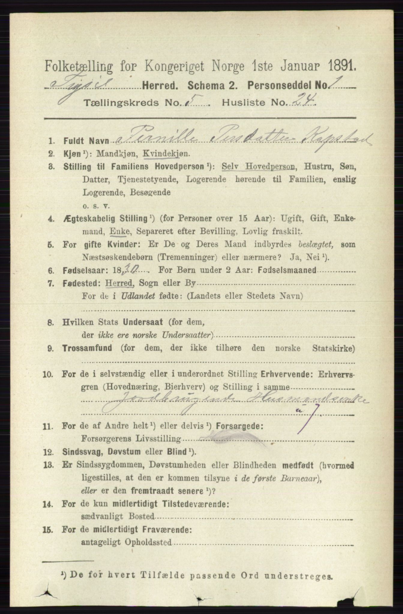 RA, 1891 census for 0428 Trysil, 1891, p. 2445