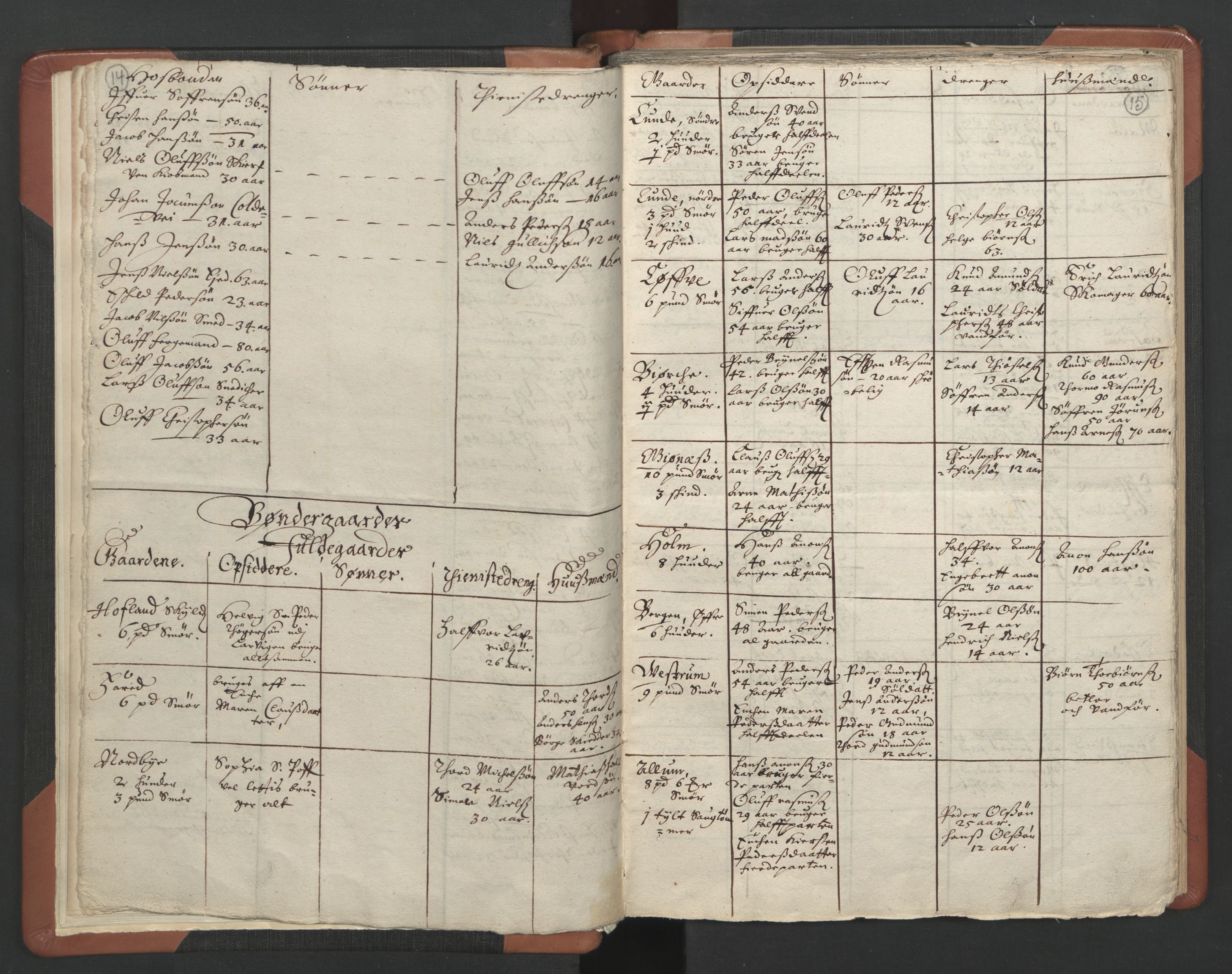 RA, Vicar's Census 1664-1666, no. 11: Brunlanes deanery, 1664-1666, p. 14-15