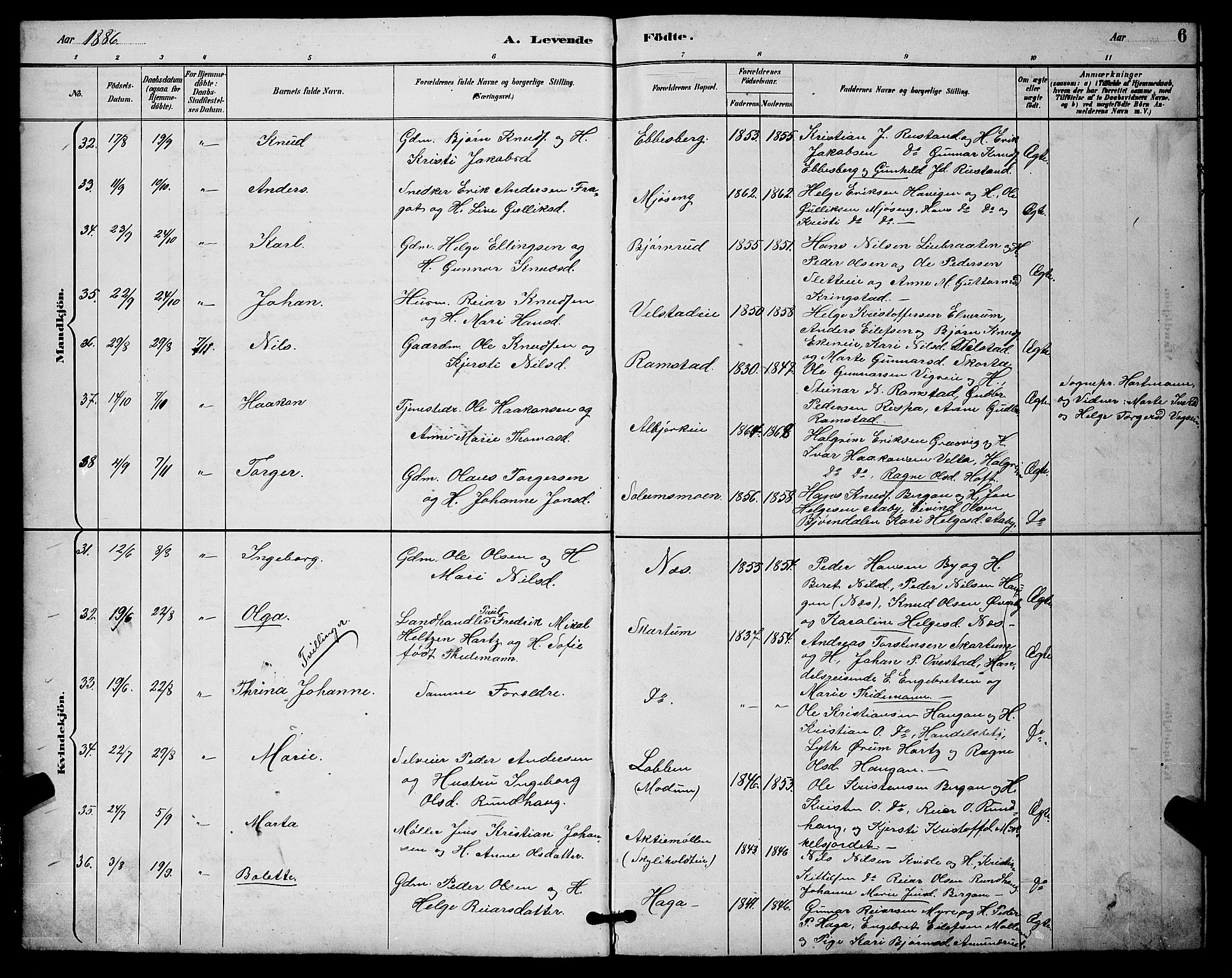 Sigdal kirkebøker, AV/SAKO-A-245/G/Ga/L0005: Parish register (copy) no. I 5, 1886-1900, p. 6