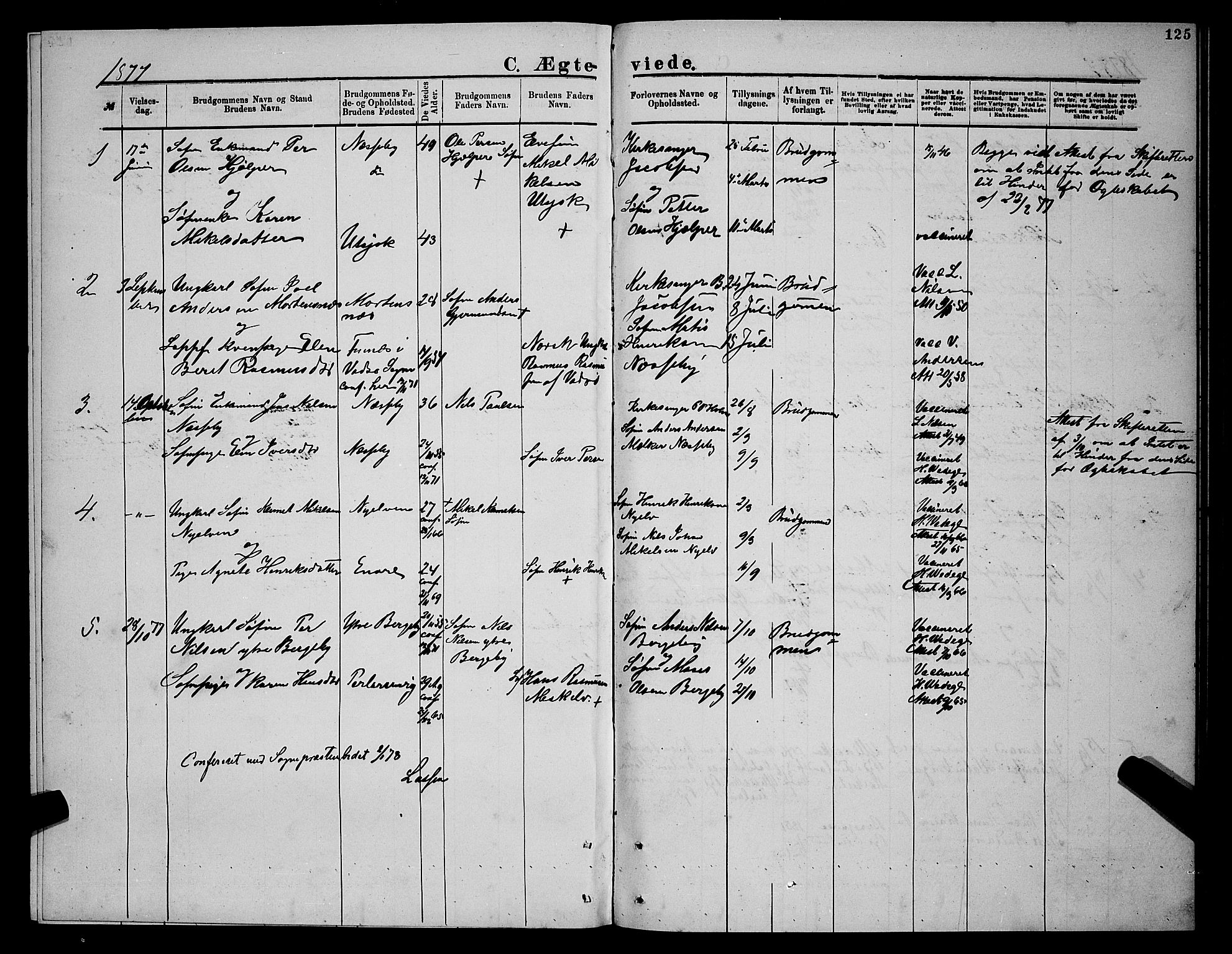Nesseby sokneprestkontor, SATØ/S-1330/H/Hb/L0004klokker: Parish register (copy) no. 4, 1877-1884, p. 125