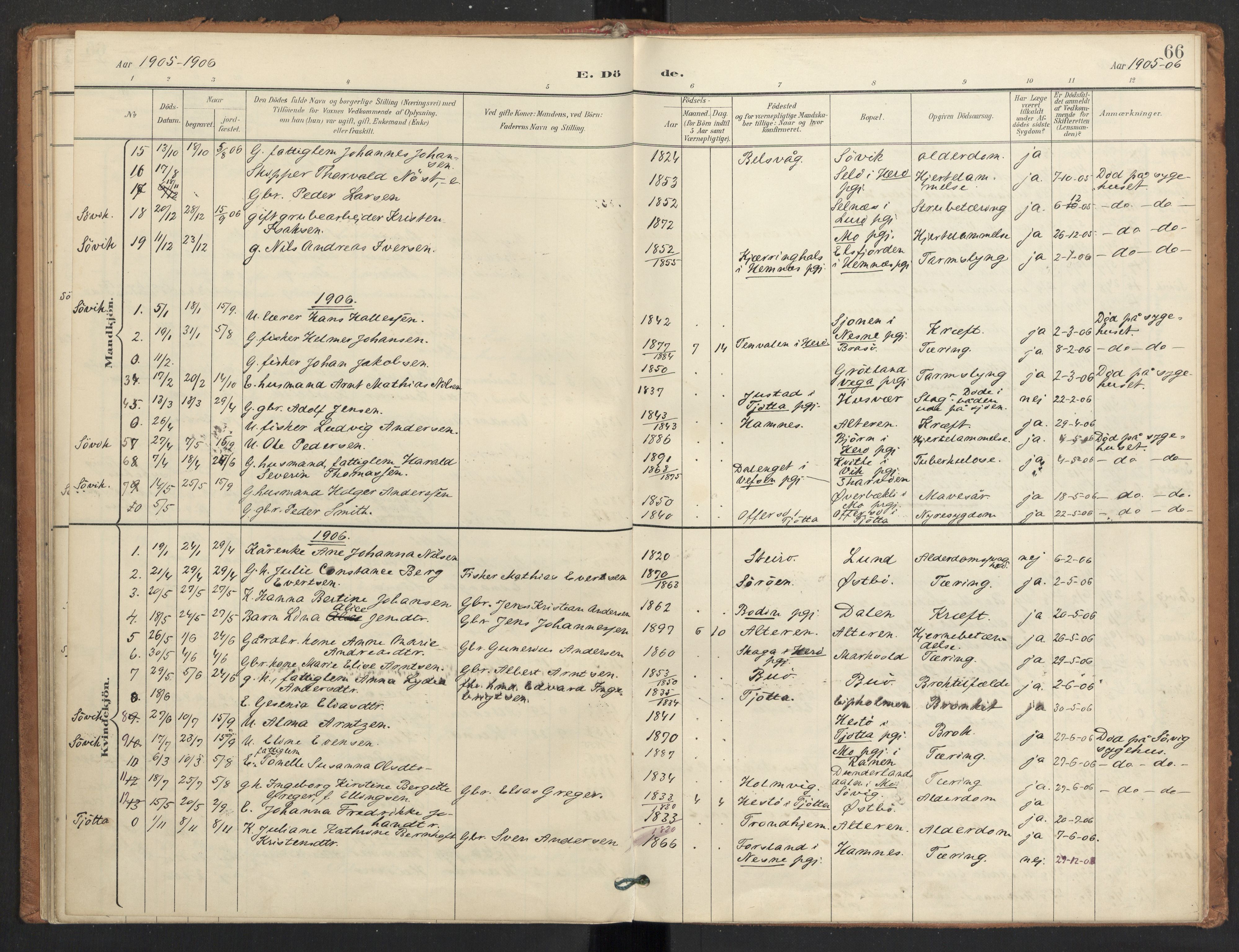 Ministerialprotokoller, klokkerbøker og fødselsregistre - Nordland, SAT/A-1459/830/L0454: Parish register (official) no. 830A18, 1897-1913, p. 66
