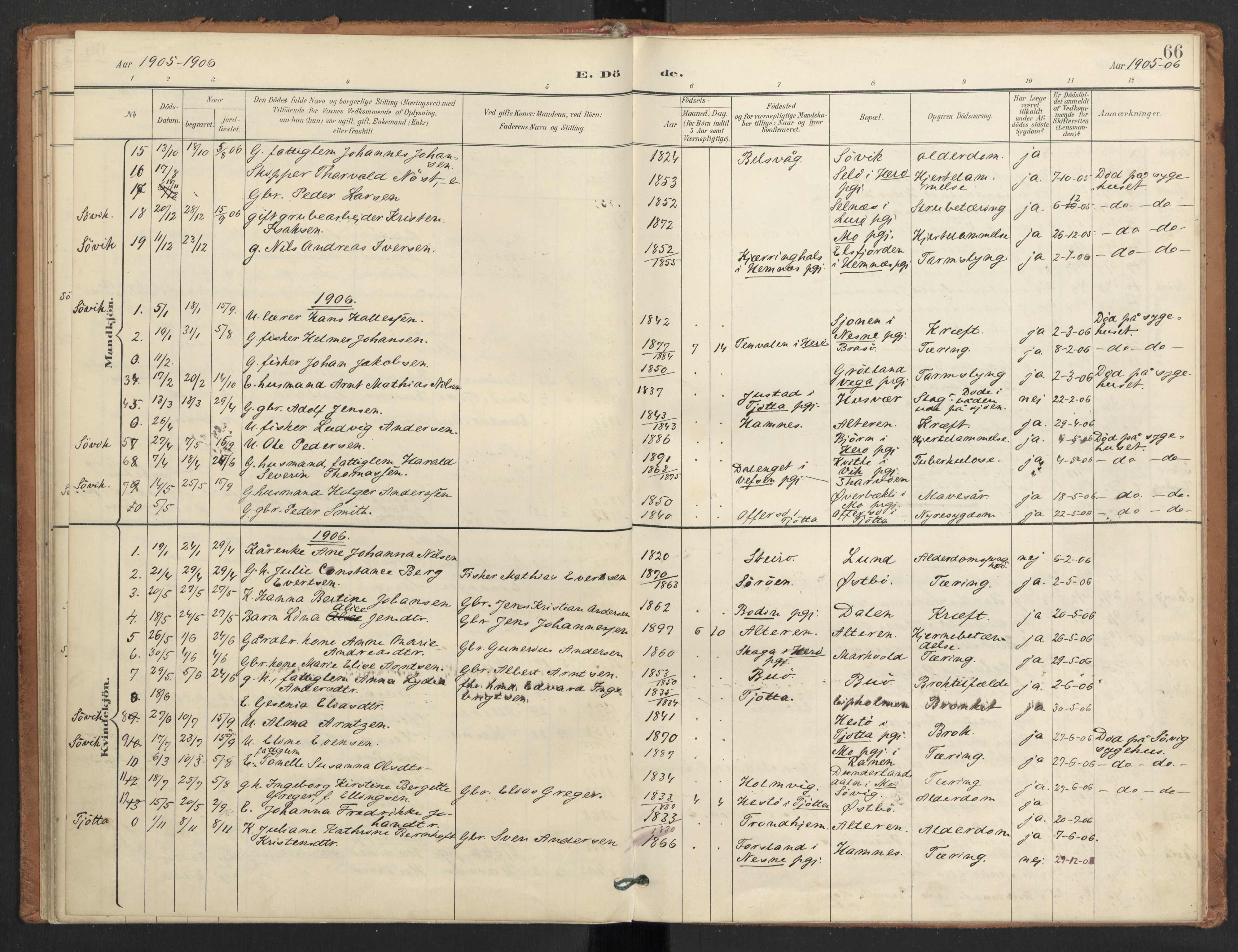 Ministerialprotokoller, klokkerbøker og fødselsregistre - Nordland, AV/SAT-A-1459/830/L0454: Parish register (official) no. 830A18, 1897-1913, p. 66