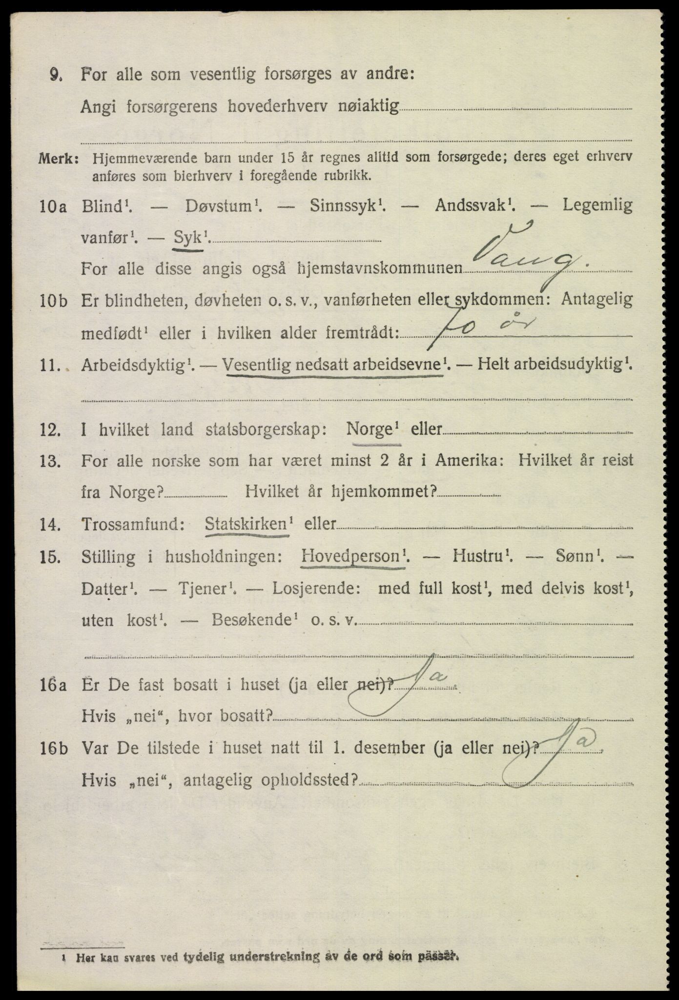 SAH, 1920 census for Vang (Hedmark), 1920, p. 15020