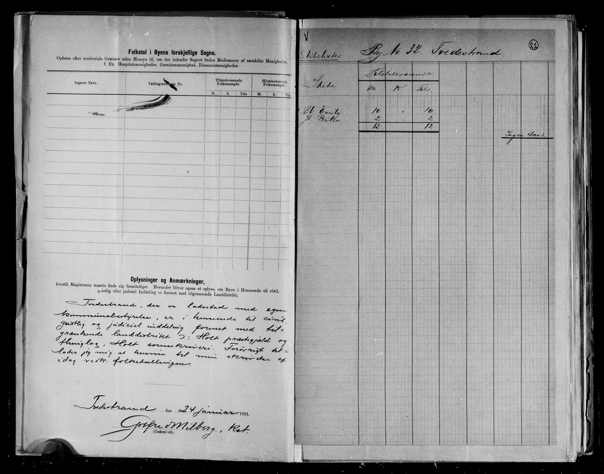 RA, 1891 census for 0902 Tvedestrand, 1891, p. 4