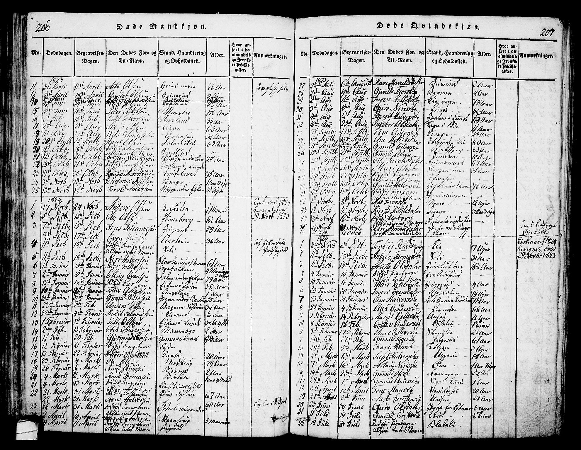Bø kirkebøker, SAKO/A-257/G/Ga/L0001: Parish register (copy) no. 1, 1815-1831, p. 206-207