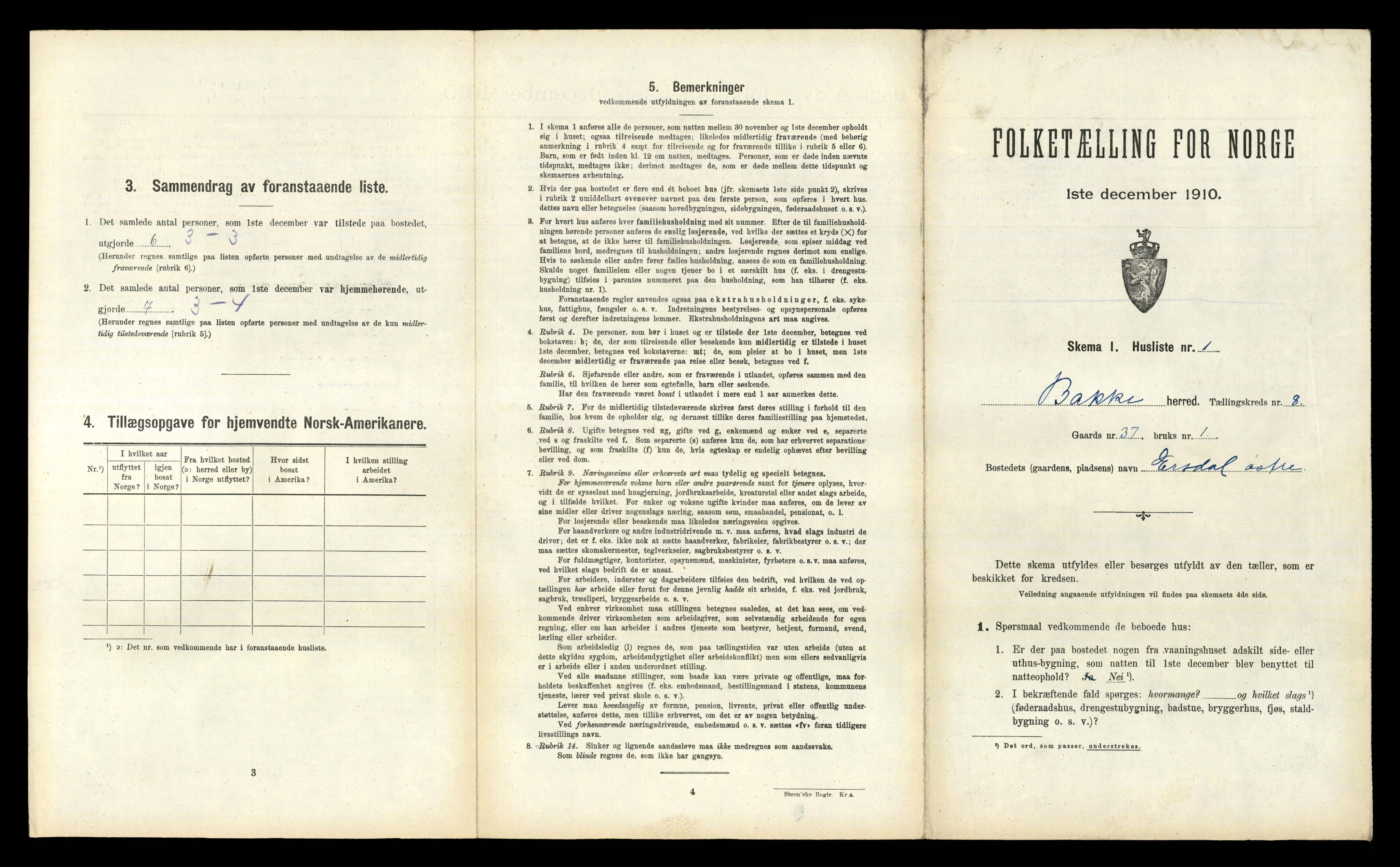 RA, 1910 census for Bakke, 1910, p. 383