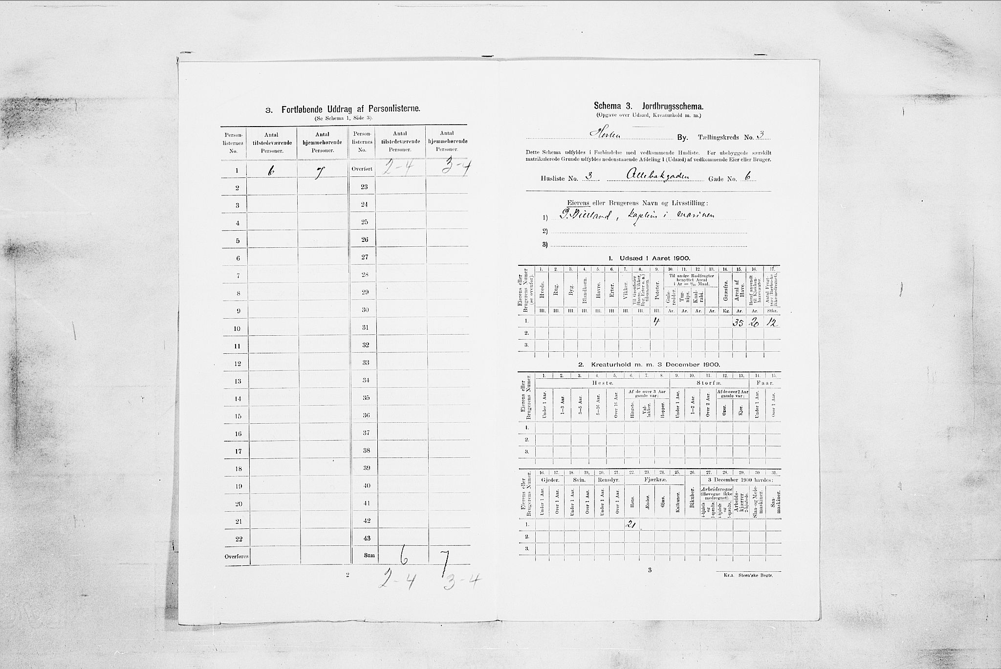 RA, 1900 census for Horten, 1900, p. 1803