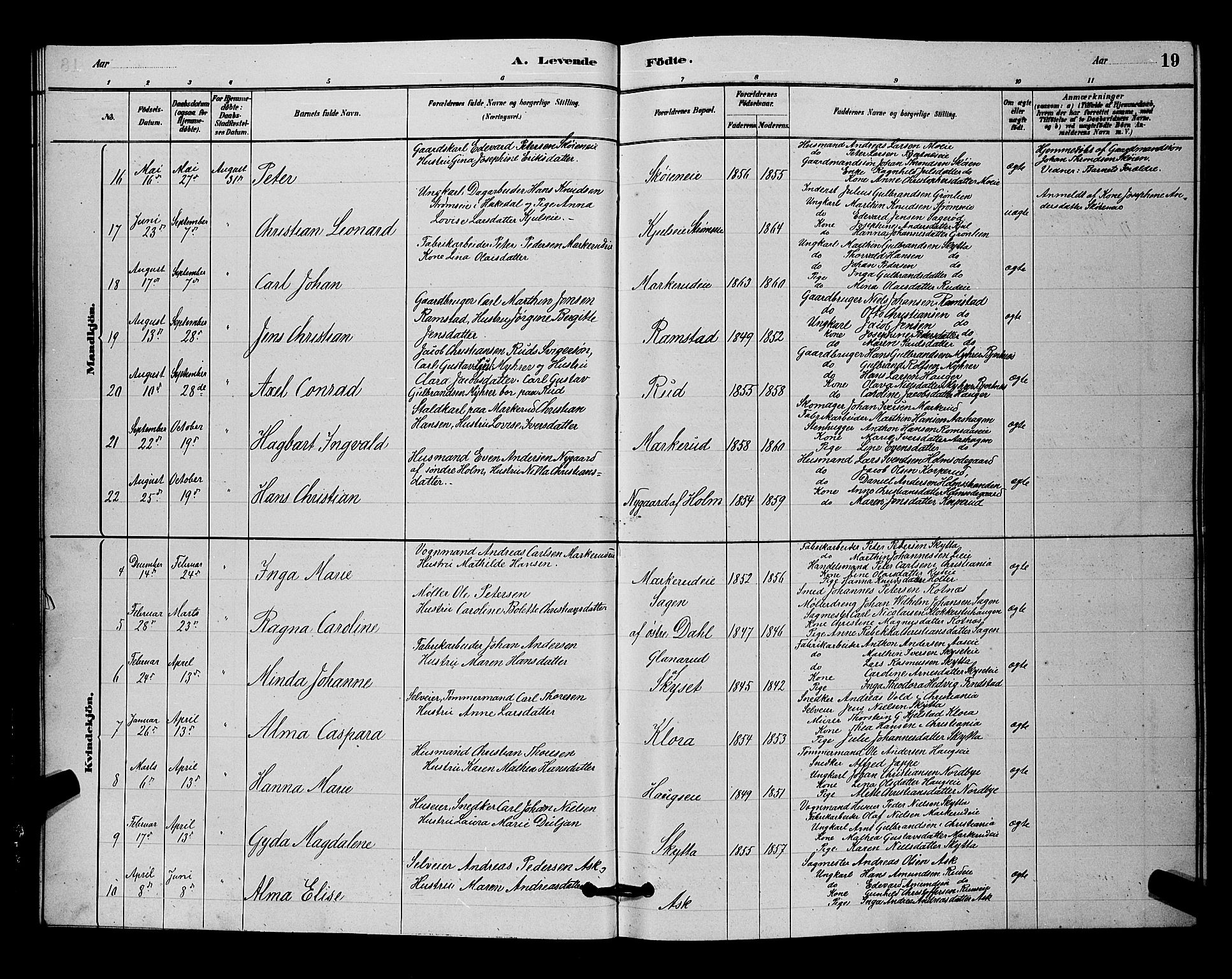 Nittedal prestekontor Kirkebøker, SAO/A-10365a/G/Ga/L0002: Parish register (copy) no. I 2, 1879-1901, p. 19