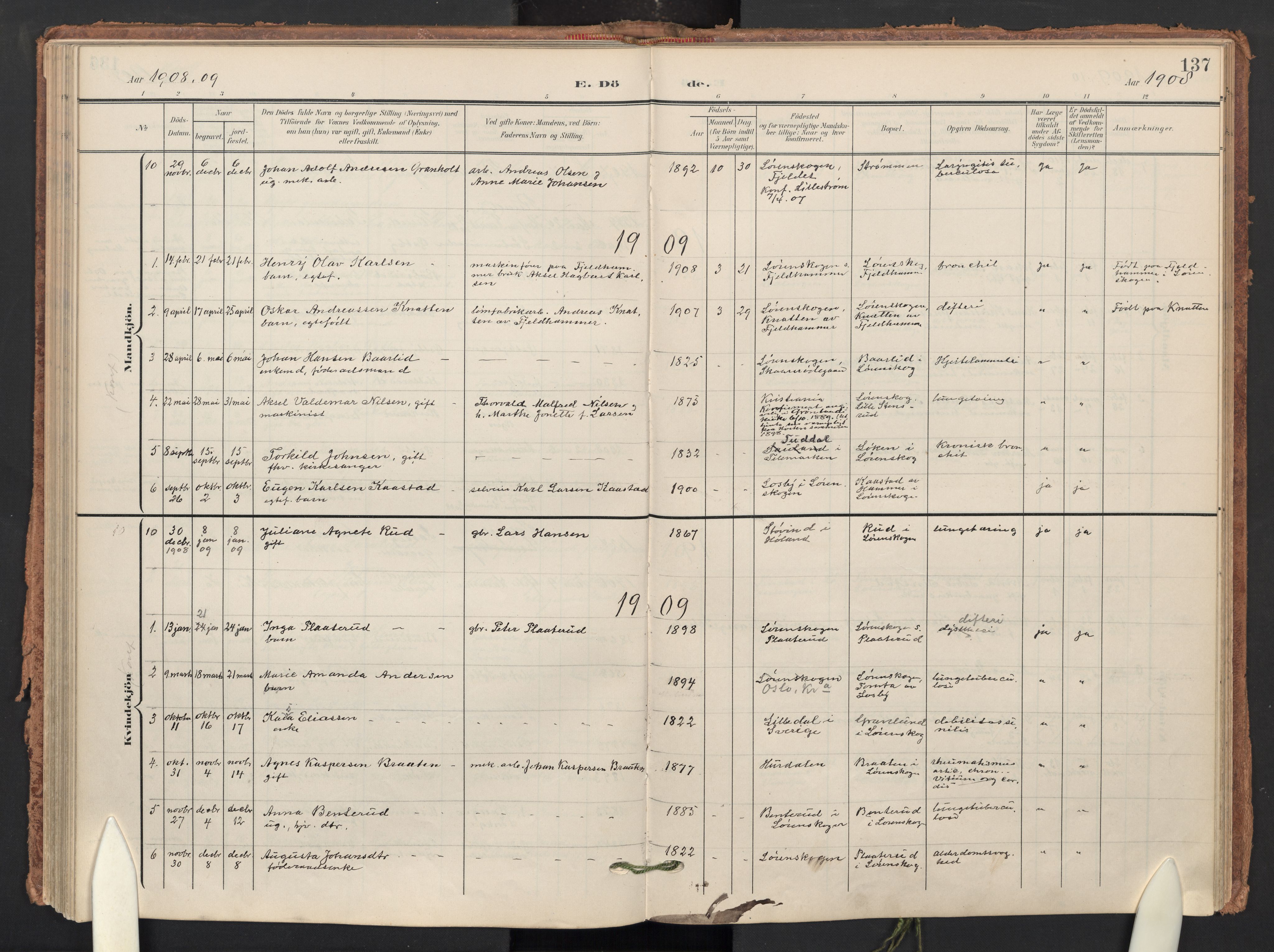 Skedsmo prestekontor Kirkebøker, AV/SAO-A-10033a/F/Fb/L0002: Parish register (official) no. II 2, 1902-1921, p. 137