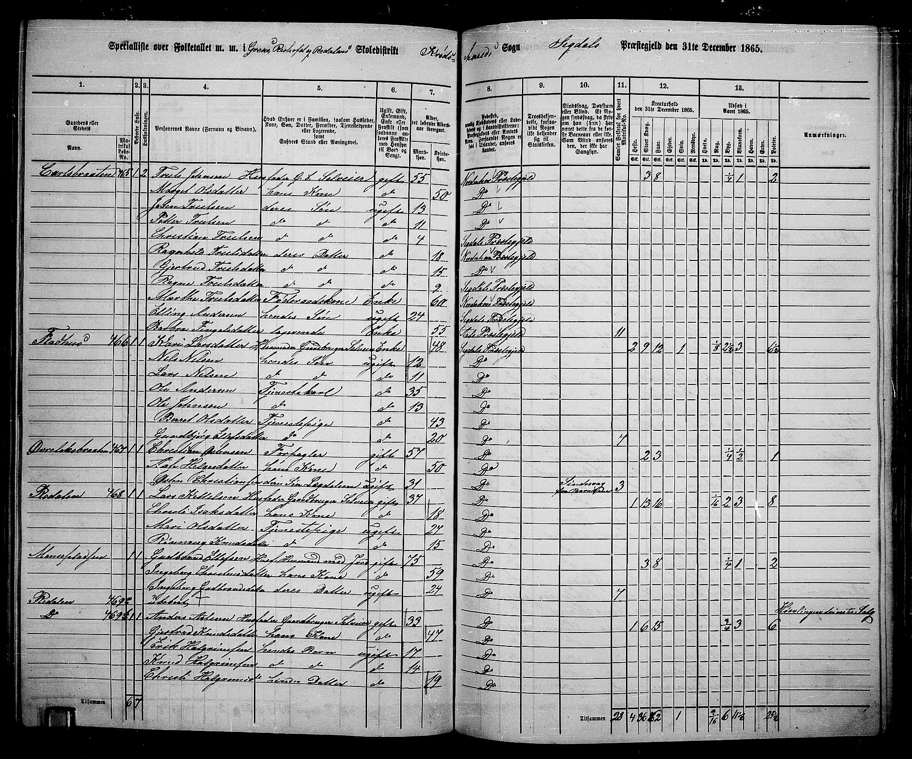 RA, 1865 census for Sigdal, 1865, p. 222