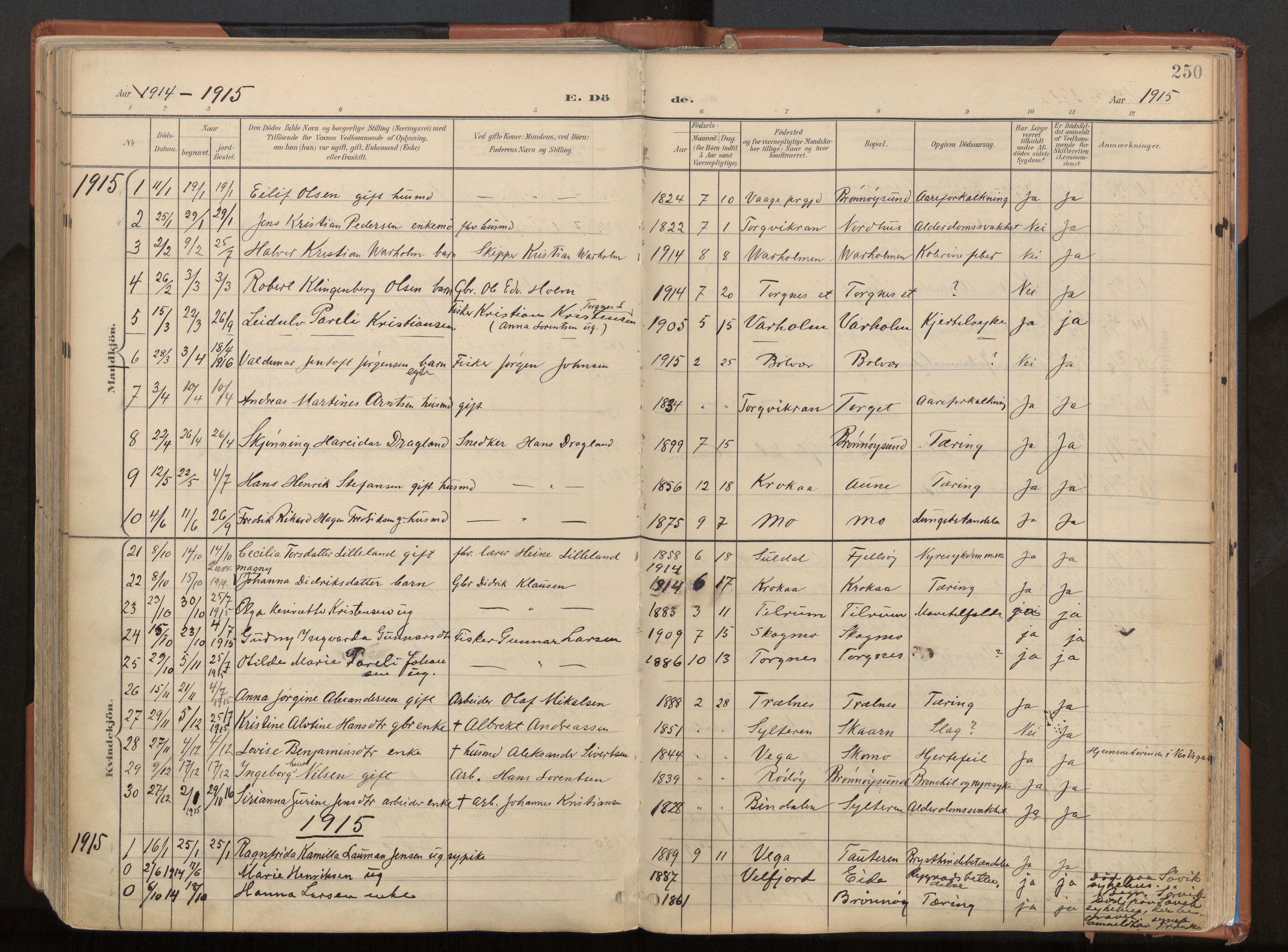 Ministerialprotokoller, klokkerbøker og fødselsregistre - Nordland, SAT/A-1459/813/L0201: Parish register (official) no. 813A11, 1901-1918, p. 250