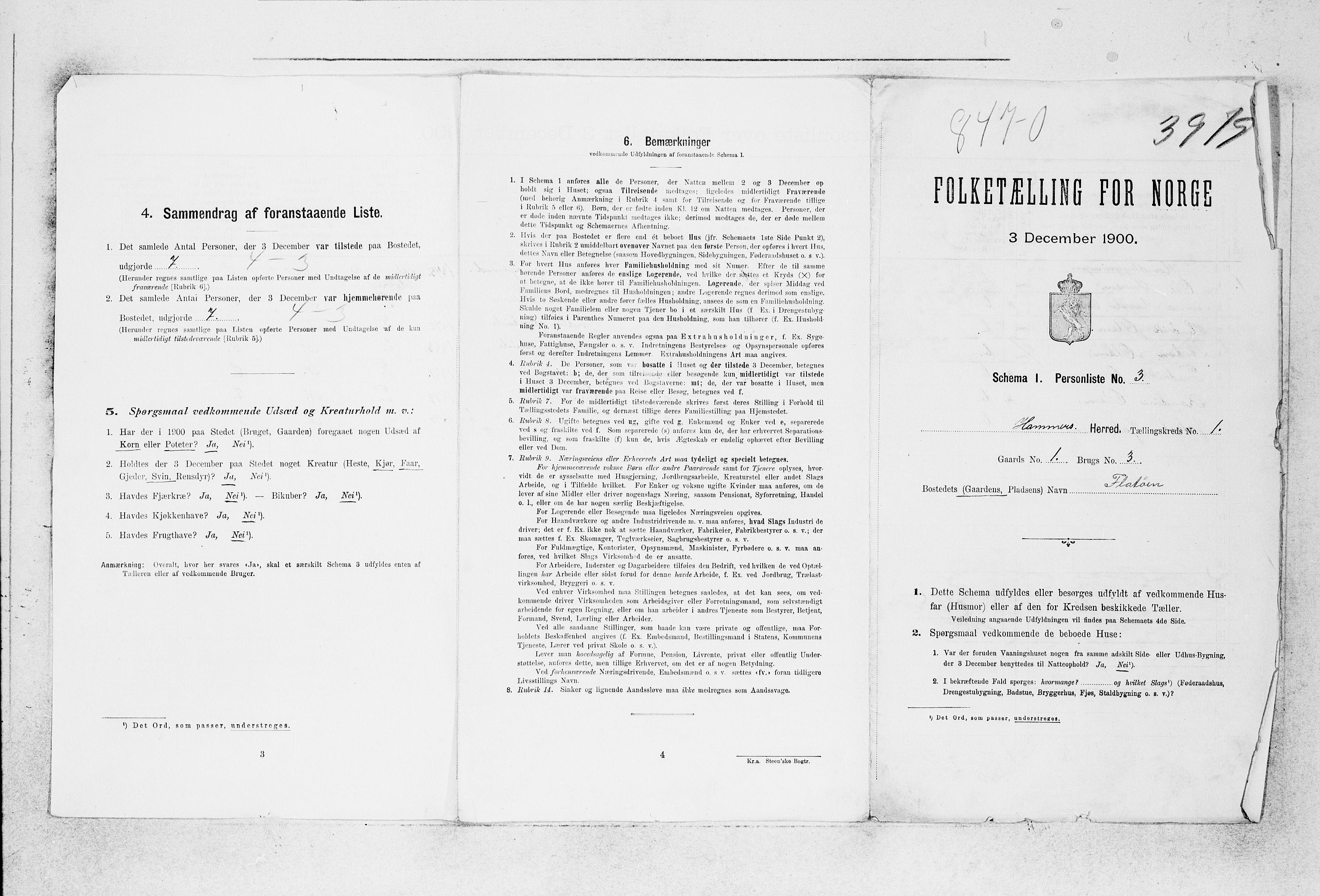 SAB, 1900 census for Hamre, 1900, p. 38