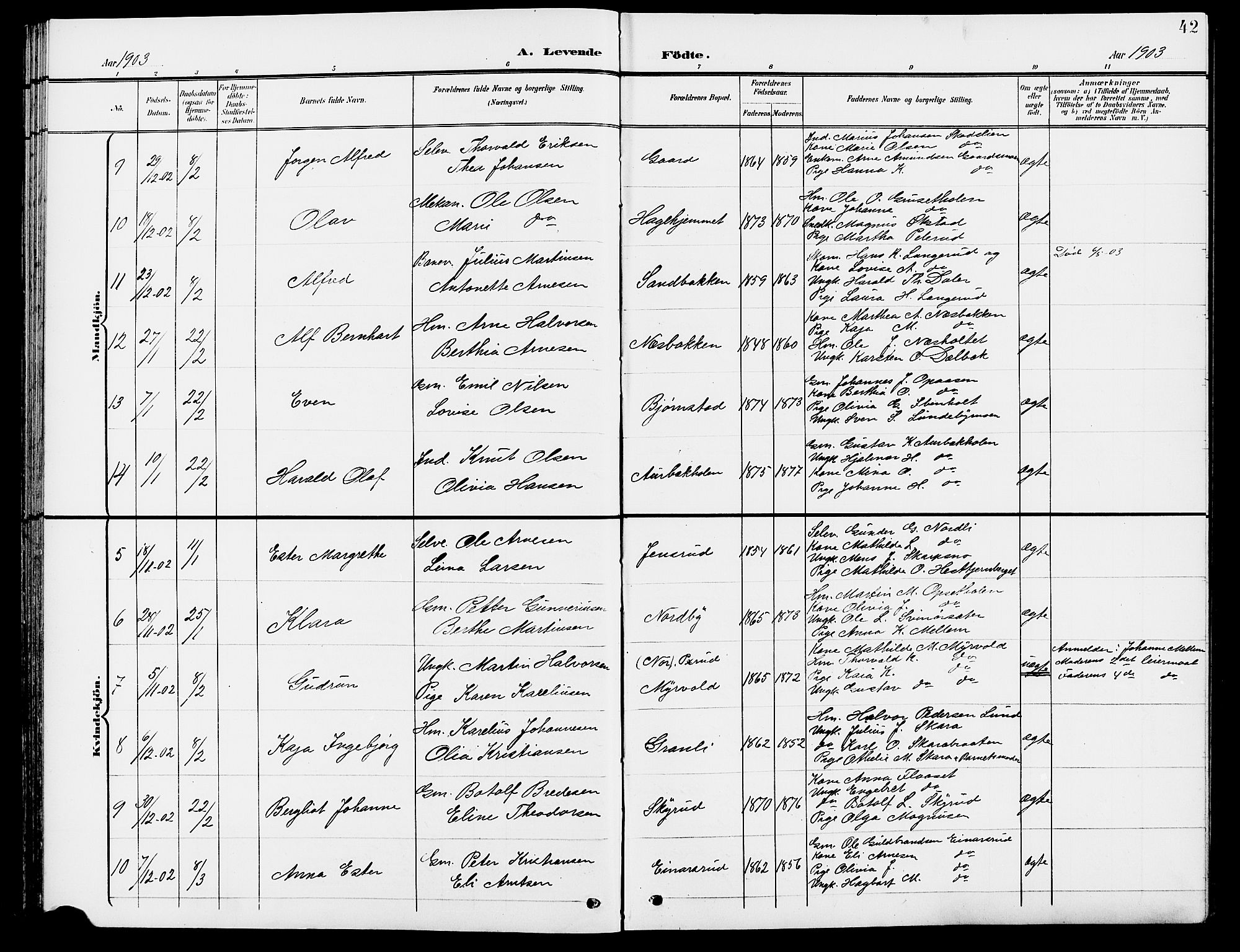Grue prestekontor, SAH/PREST-036/H/Ha/Hab/L0005: Parish register (copy) no. 5, 1900-1909, p. 42