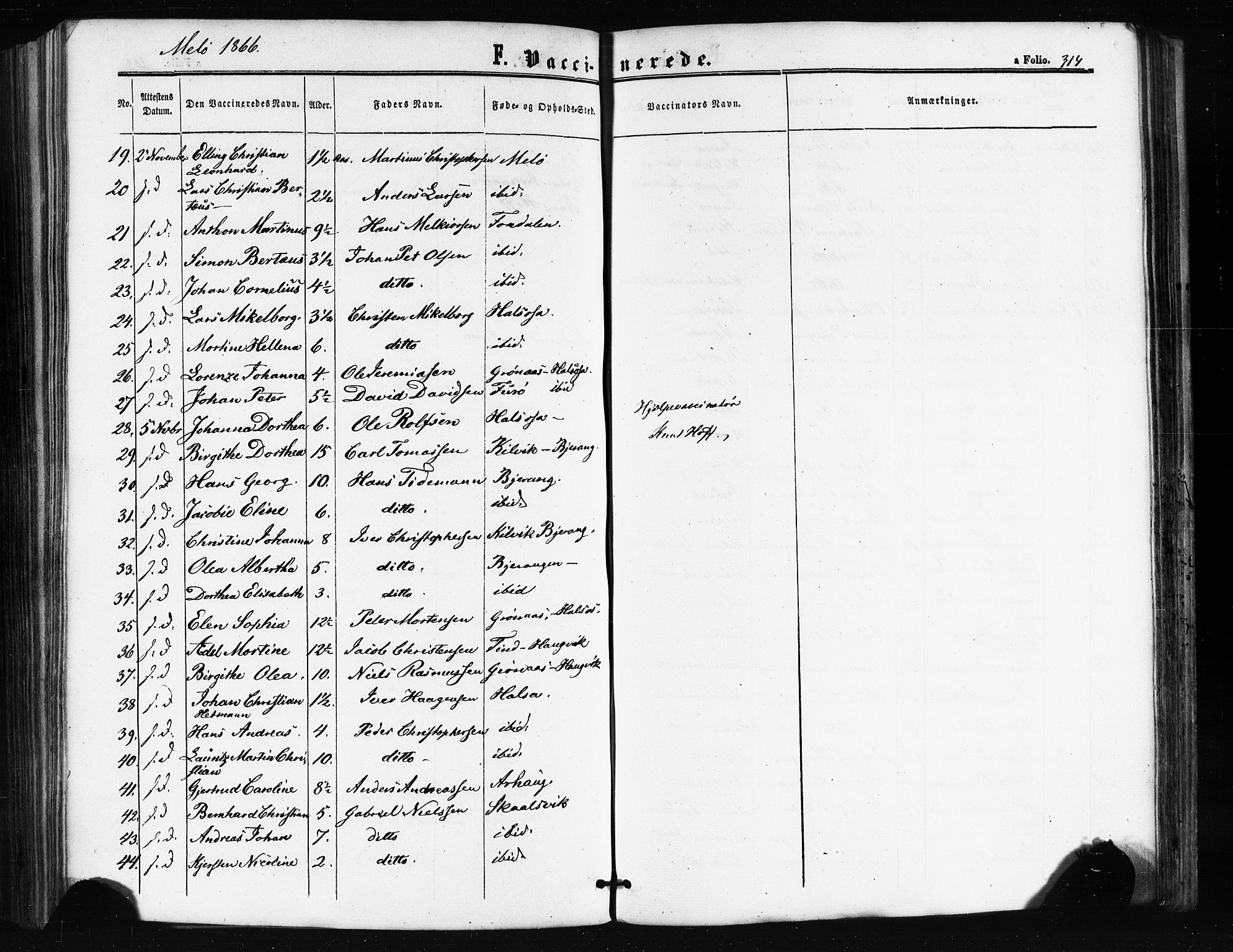 Ministerialprotokoller, klokkerbøker og fødselsregistre - Nordland, SAT/A-1459/841/L0607: Parish register (official) no. 841A11 /2, 1863-1877, p. 314