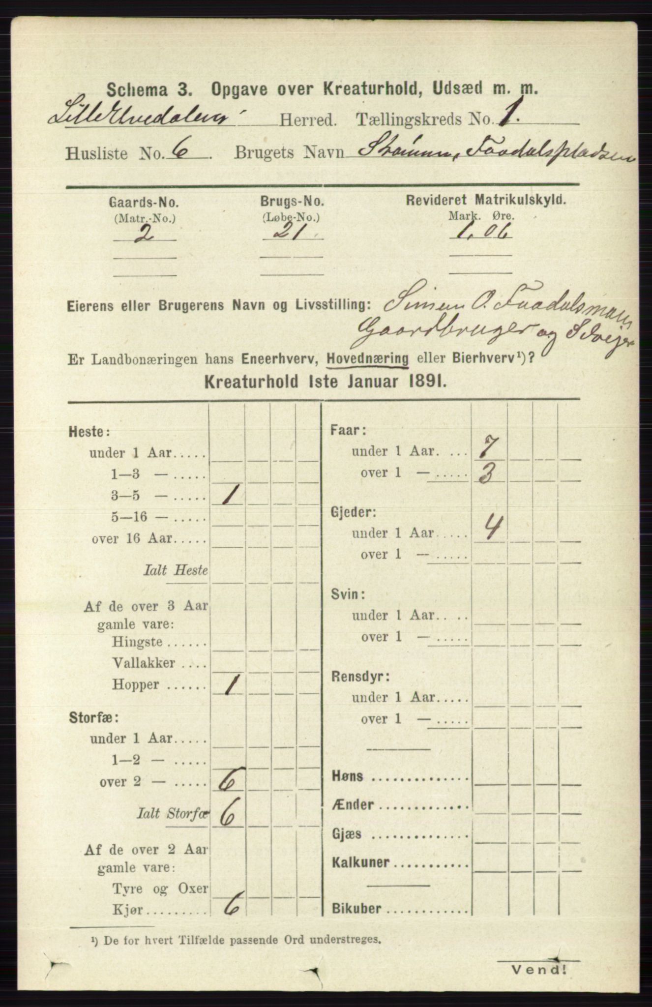 RA, 1891 census for 0438 Lille Elvedalen, 1891, p. 3920