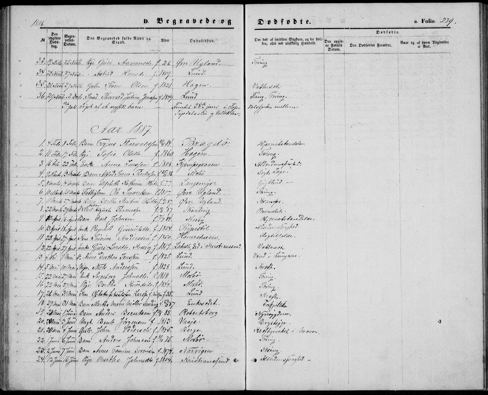 Oddernes sokneprestkontor, AV/SAK-1111-0033/F/Fb/Fba/L0007: Parish register (copy) no. B 7, 1869-1887, p. 239