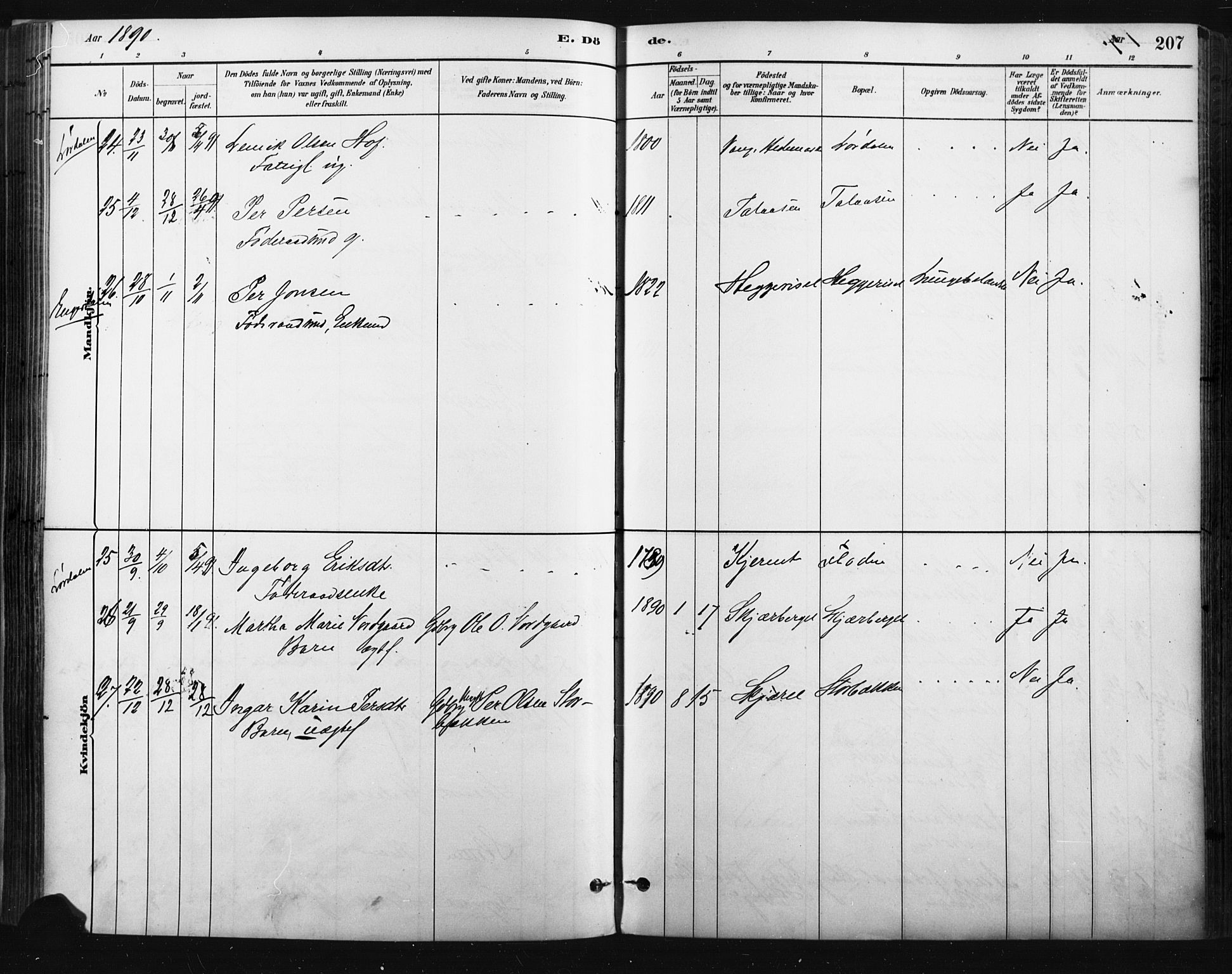 Trysil prestekontor, AV/SAH-PREST-046/H/Ha/Haa/L0009: Parish register (official) no. 9, 1881-1897, p. 207