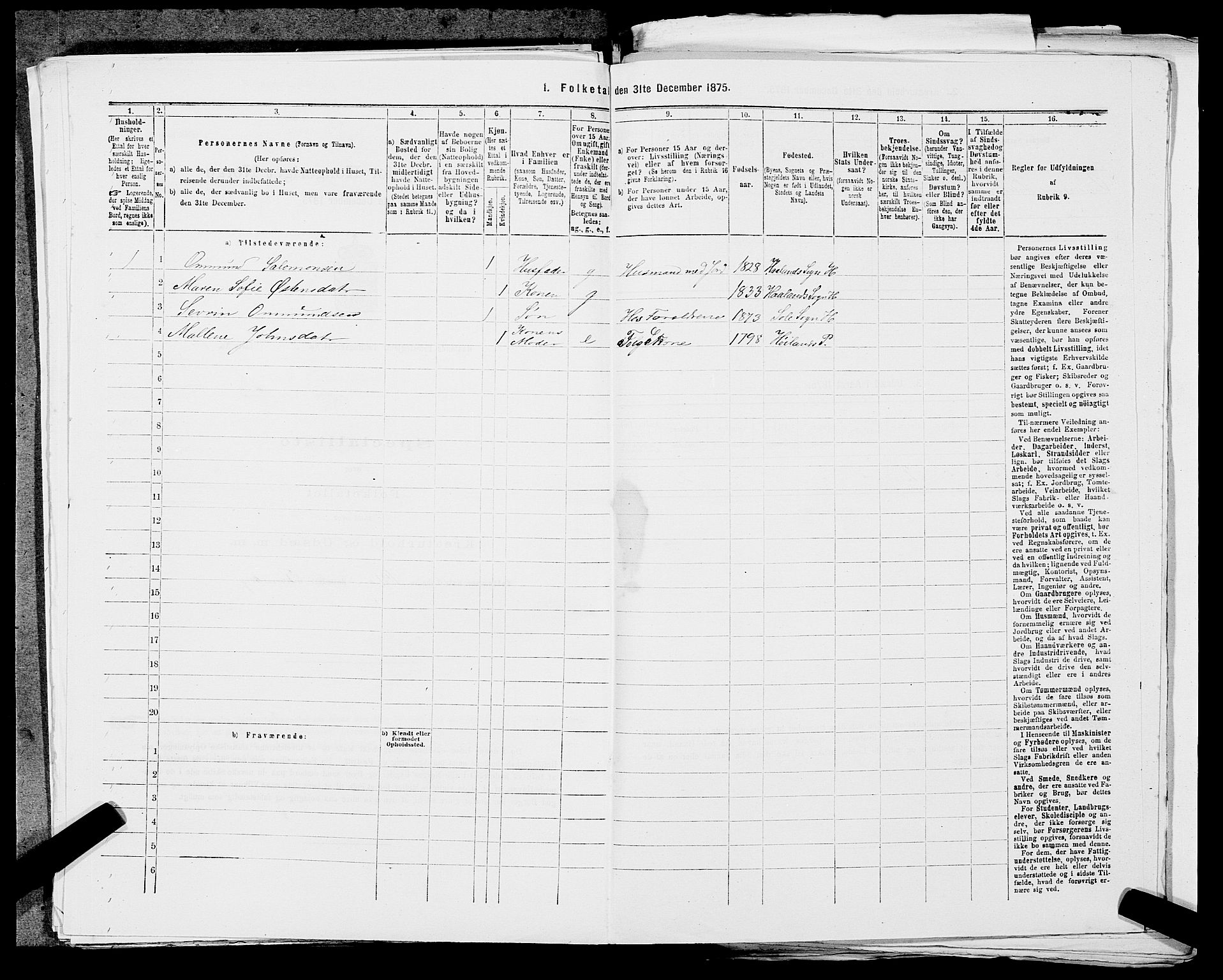 SAST, 1875 census for 1124P Håland, 1875, p. 516