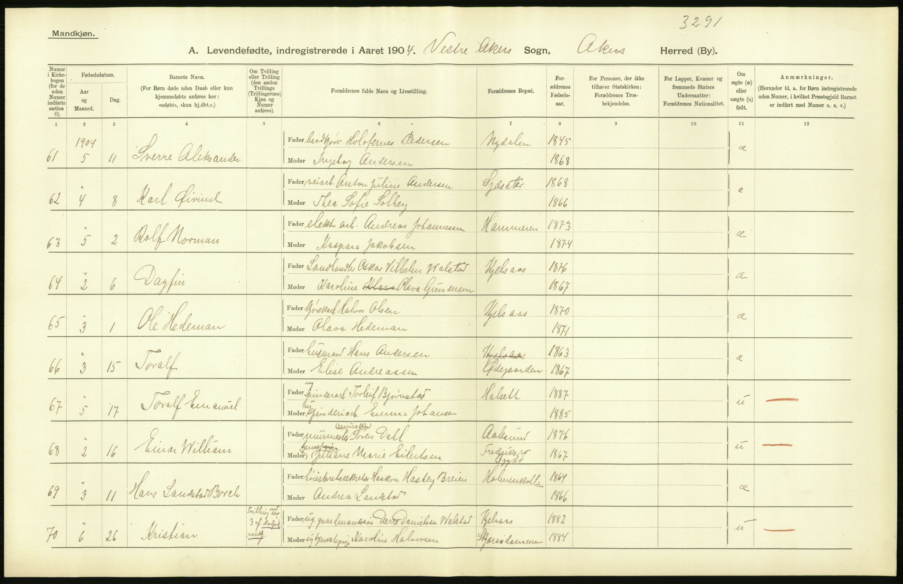 Statistisk sentralbyrå, Sosiodemografiske emner, Befolkning, AV/RA-S-2228/D/Df/Dfa/Dfab/L0002: Akershus amt: Fødte, gifte, døde, 1904, p. 416