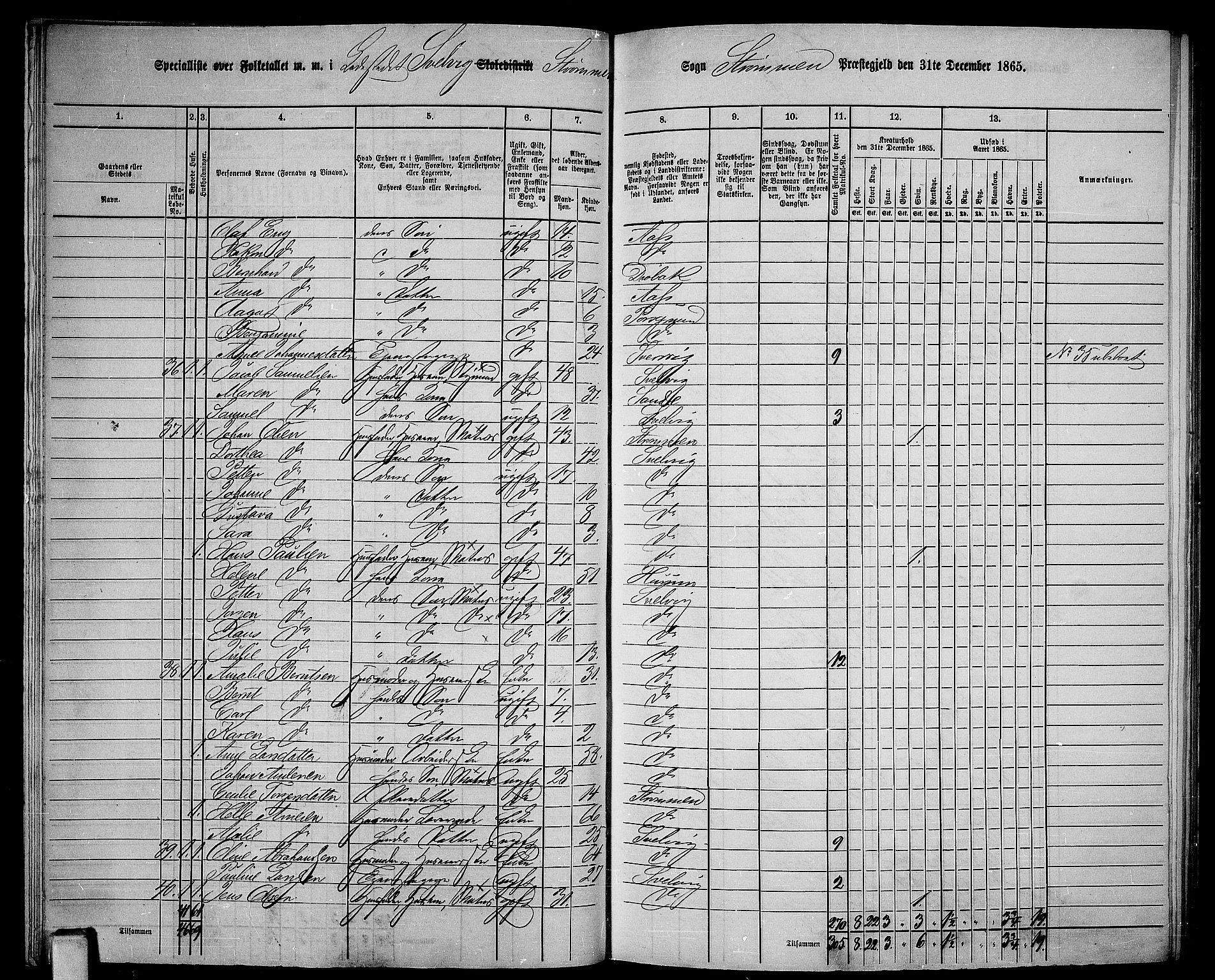 RA, 1865 census for Strømm, 1865, p. 70