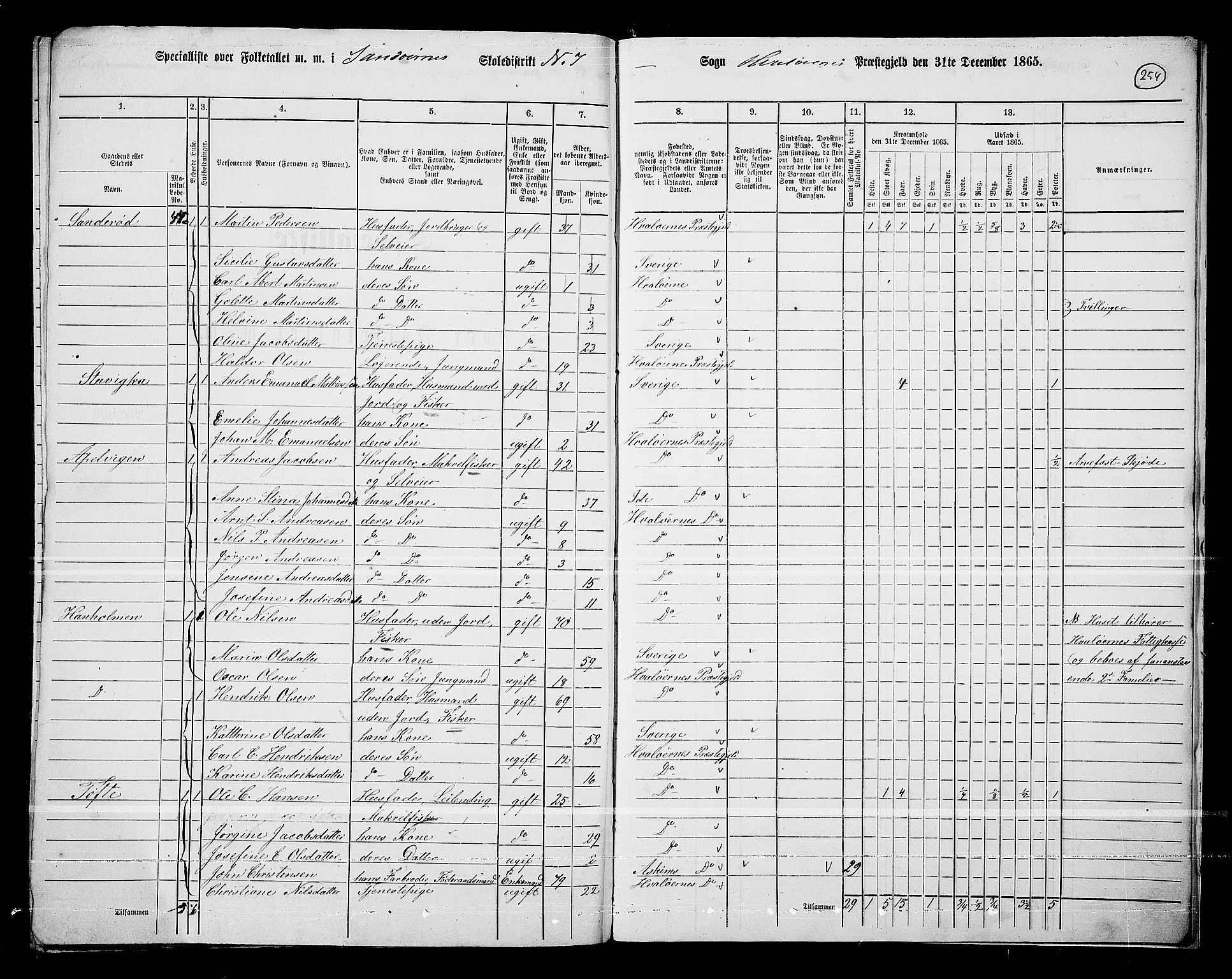 RA, 1865 census for Hvaler, 1865, p. 87