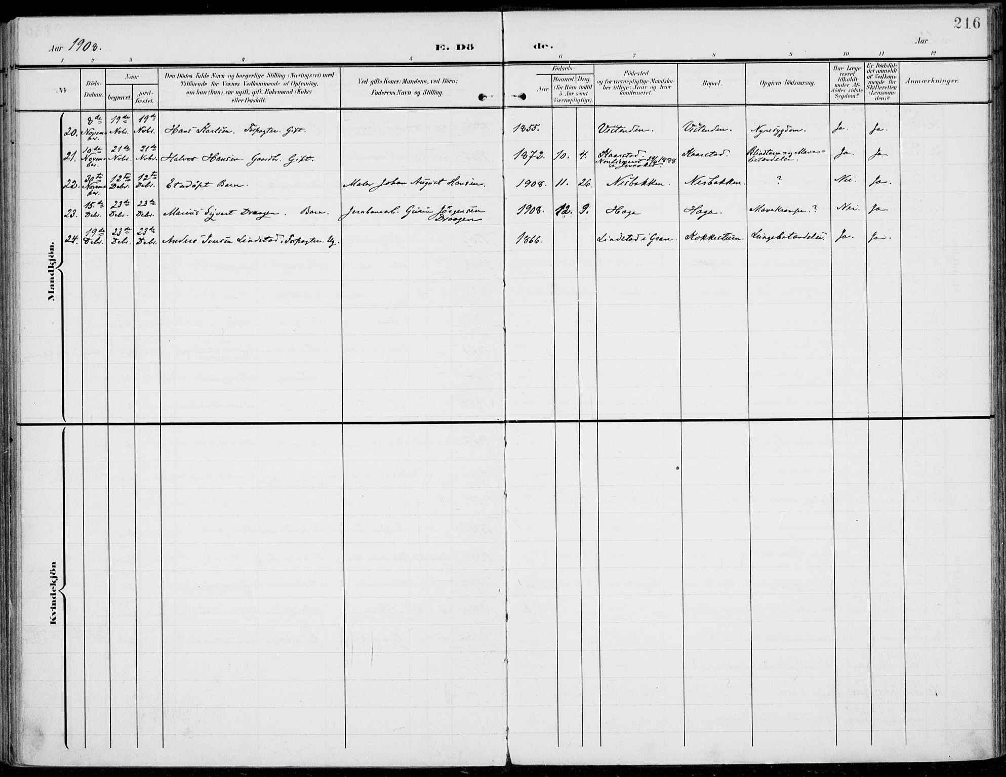 Jevnaker prestekontor, SAH/PREST-116/H/Ha/Haa/L0011: Parish register (official) no. 11, 1902-1913, p. 216