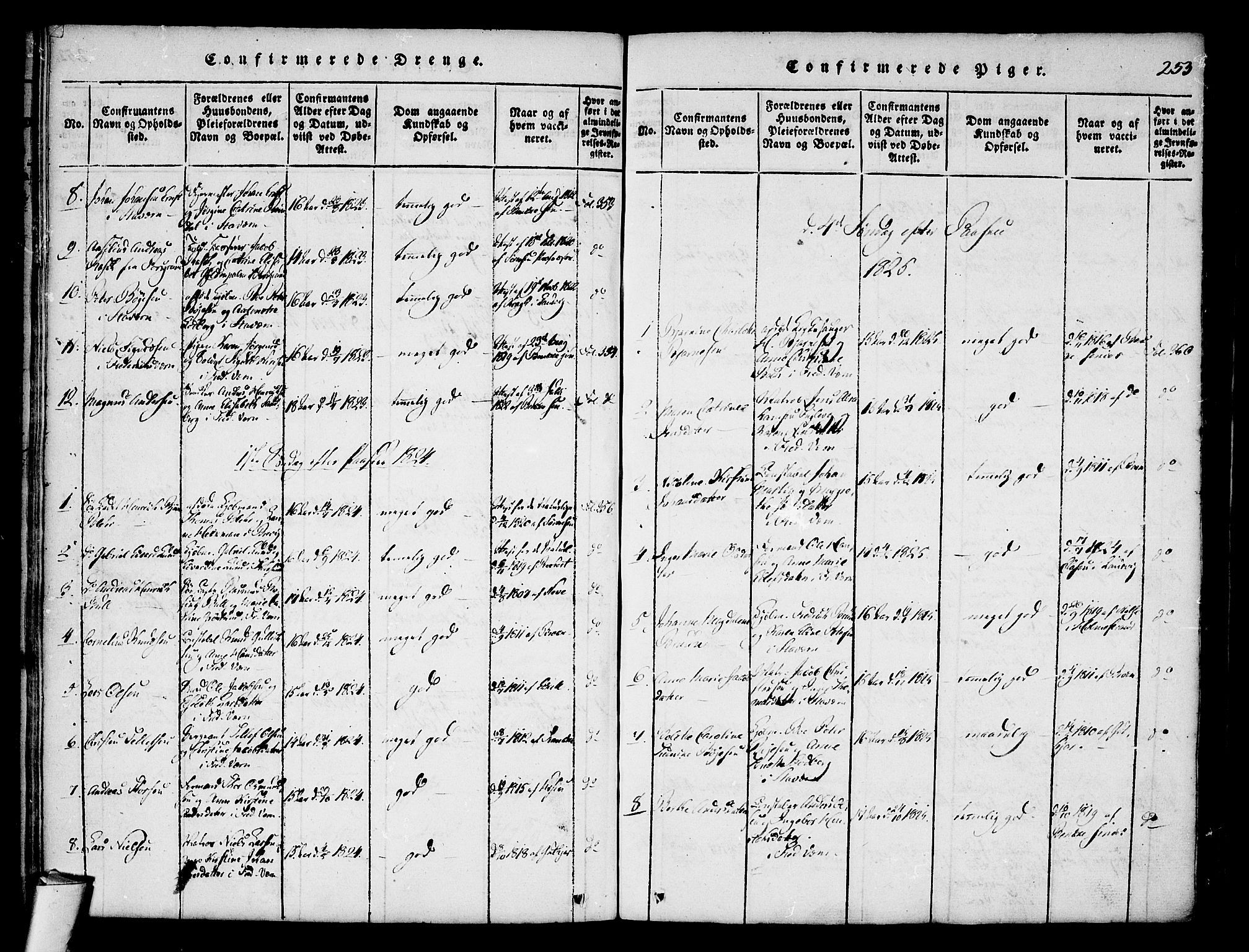 Stavern kirkebøker, AV/SAKO-A-318/F/Fa/L0006: Parish register (official) no. 6, 1816-1839, p. 253