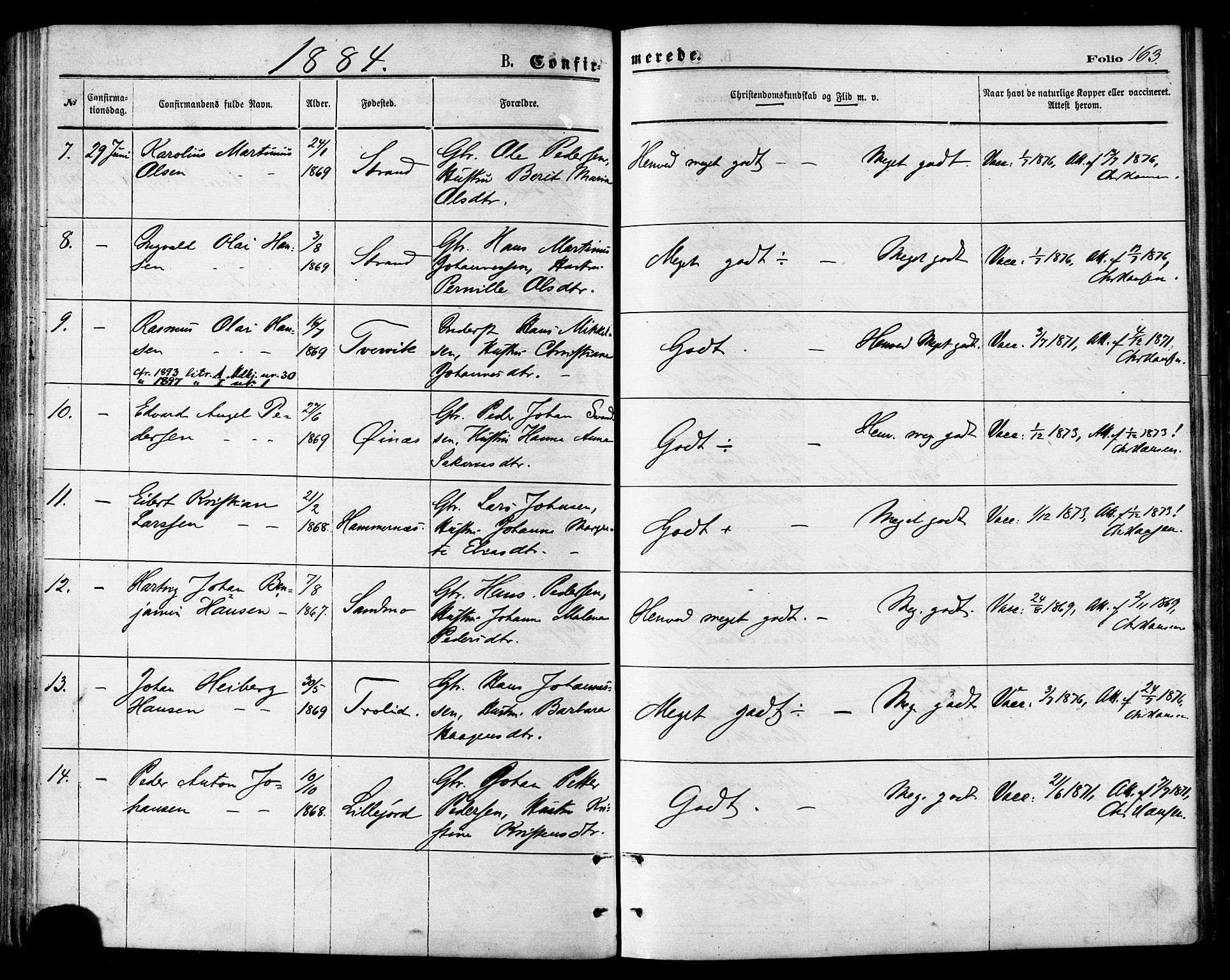 Ministerialprotokoller, klokkerbøker og fødselsregistre - Nordland, AV/SAT-A-1459/846/L0645: Parish register (official) no. 846A03, 1872-1886, p. 163