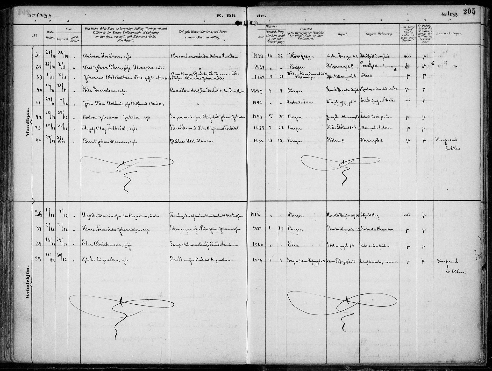 Mariakirken Sokneprestembete, AV/SAB-A-76901/H/Hab/L0005: Parish register (copy) no. A 5, 1893-1913, p. 205