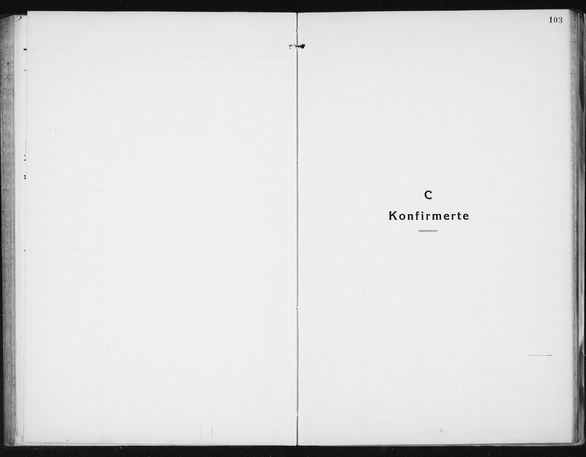 Ministerialprotokoller, klokkerbøker og fødselsregistre - Sør-Trøndelag, SAT/A-1456/640/L0589: Parish register (copy) no. 640C06, 1922-1934, p. 103