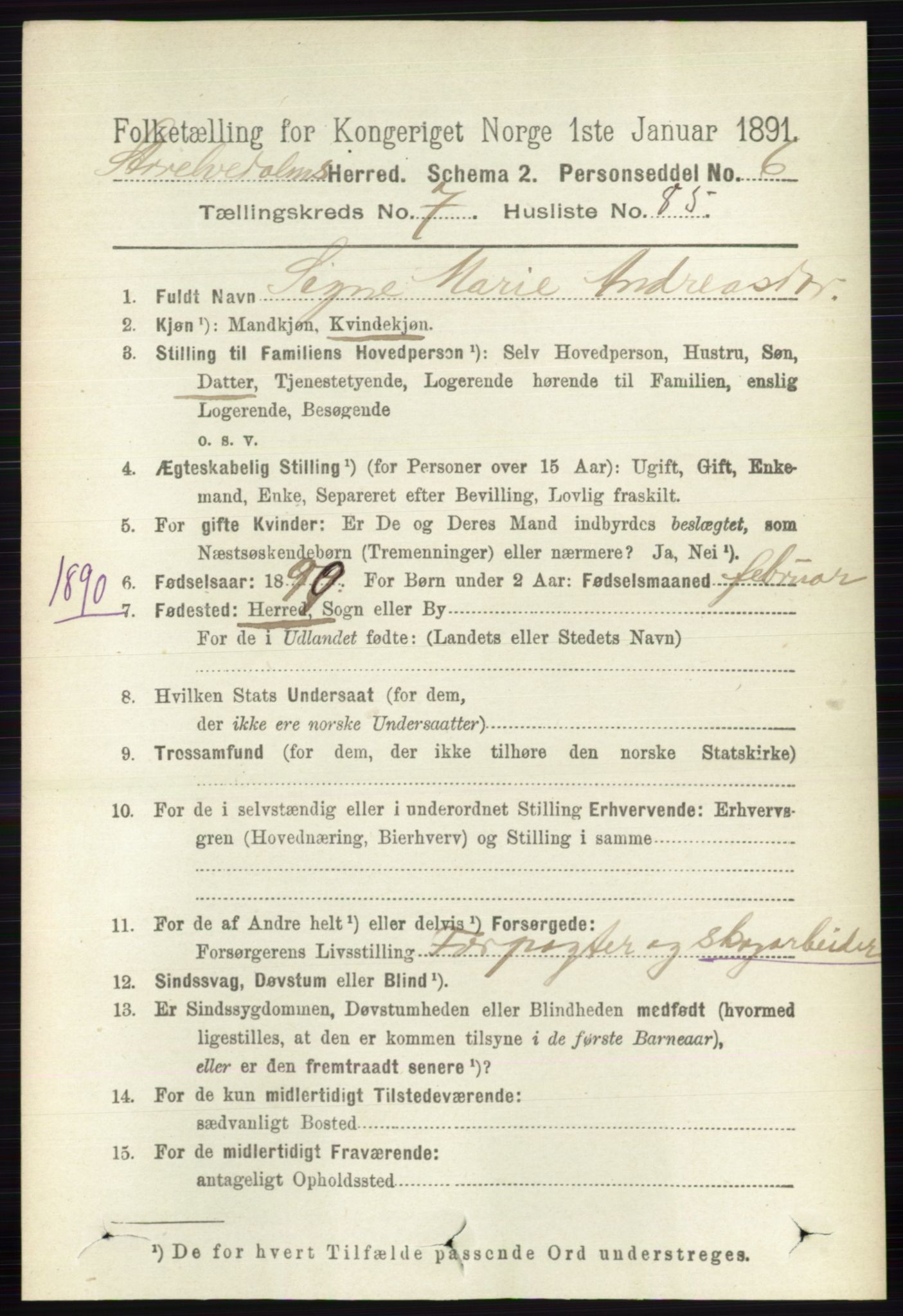 RA, 1891 census for 0430 Stor-Elvdal, 1891, p. 3324