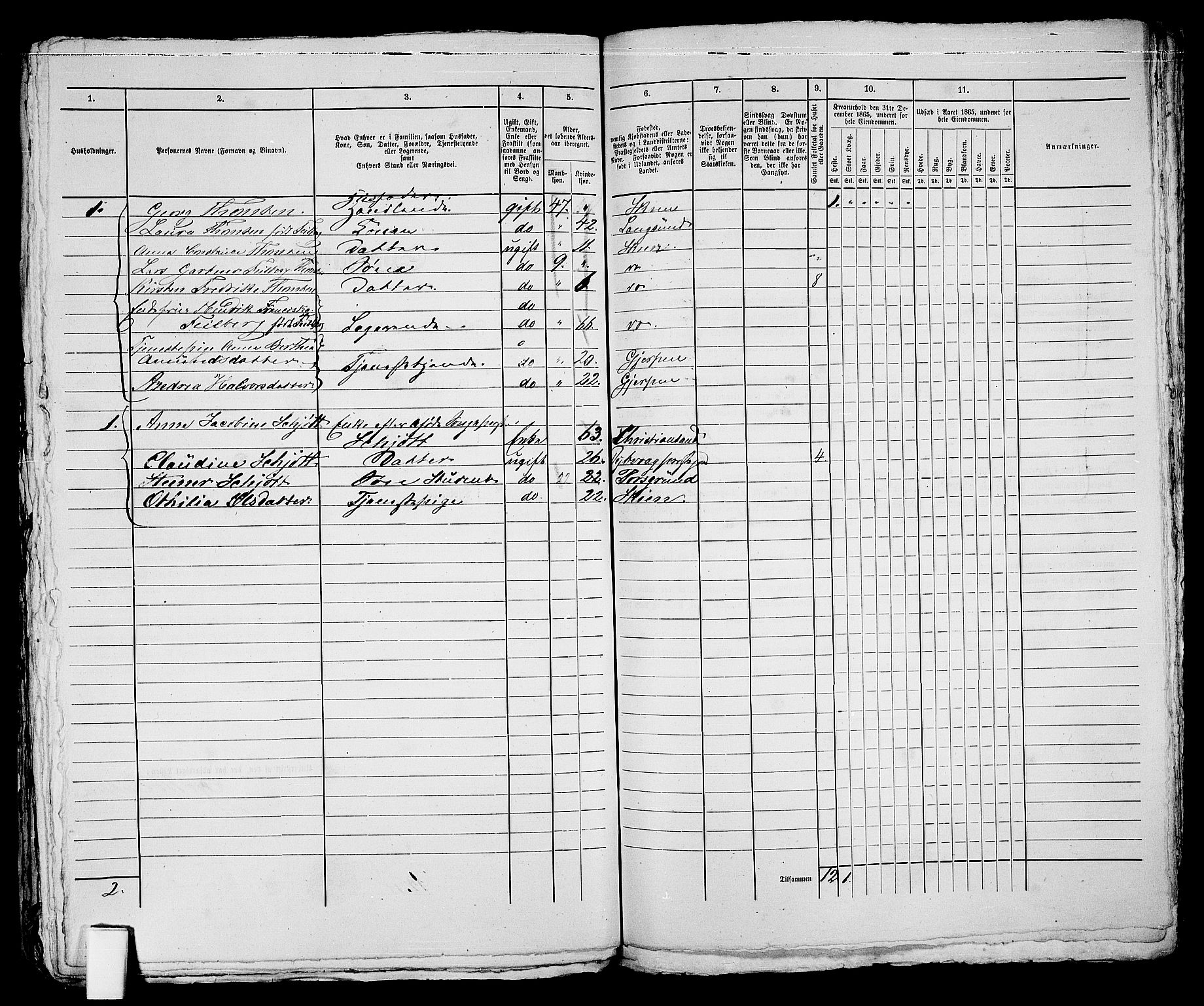 RA, 1865 census for Skien, 1865, p. 371