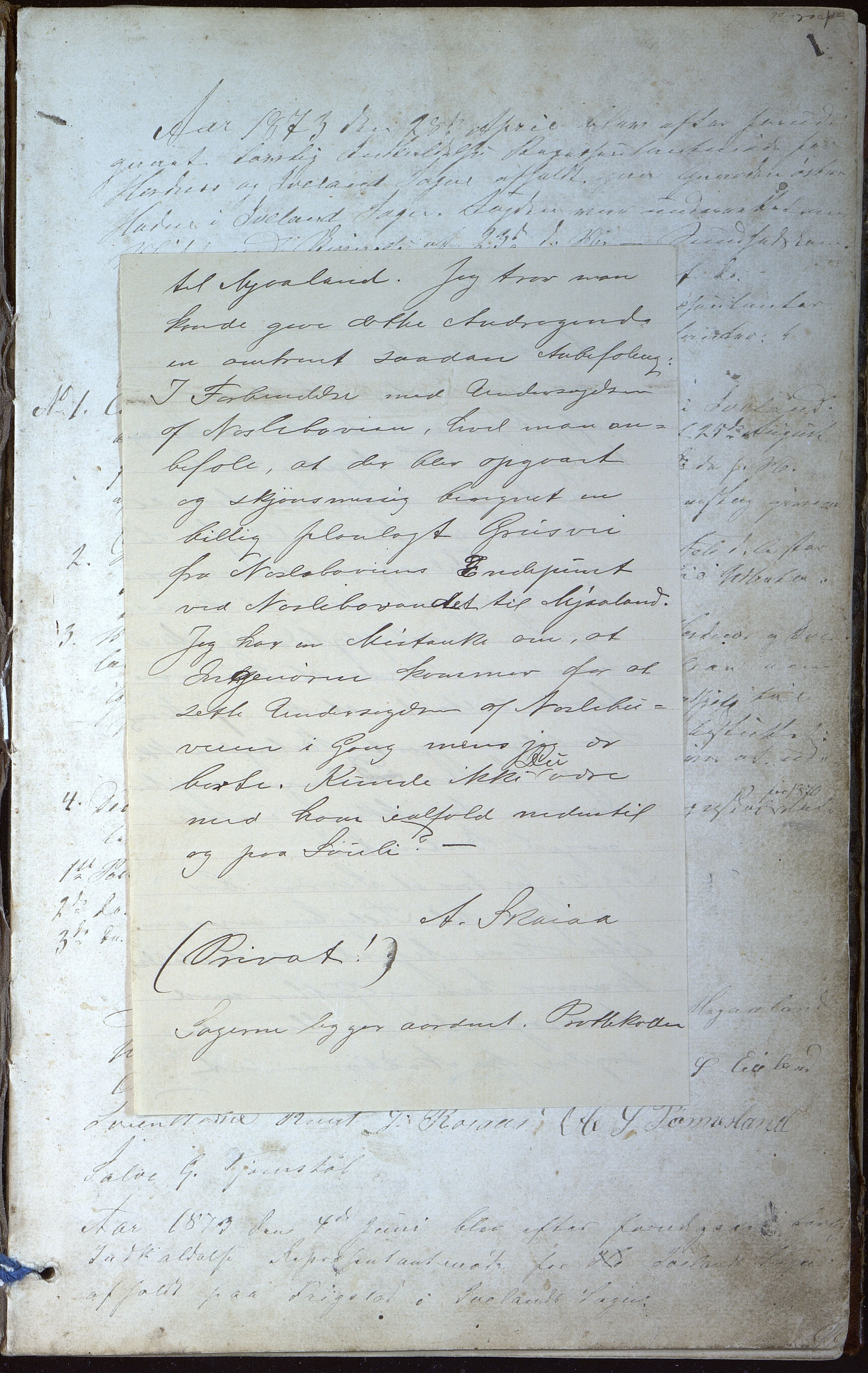 Hornnes og Iveland kommune, Formannsskapet, AAKS/KA0935a-120/A/L0003: Forhandlingsprotokoll formannskapet Hornnes og Iveland, 1873-1885