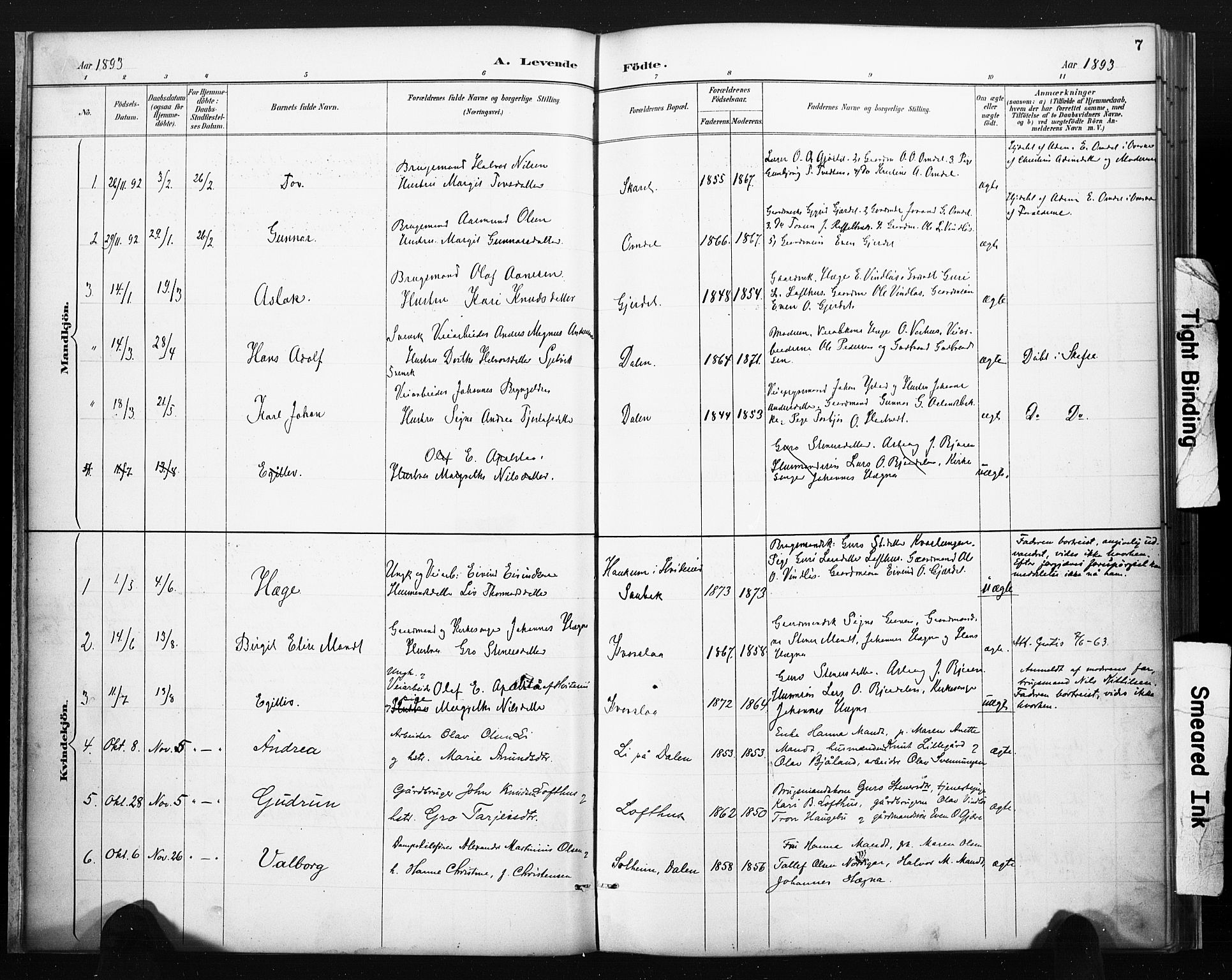 Lårdal kirkebøker, SAKO/A-284/F/Fb/L0002: Parish register (official) no. II 2, 1887-1918, p. 7