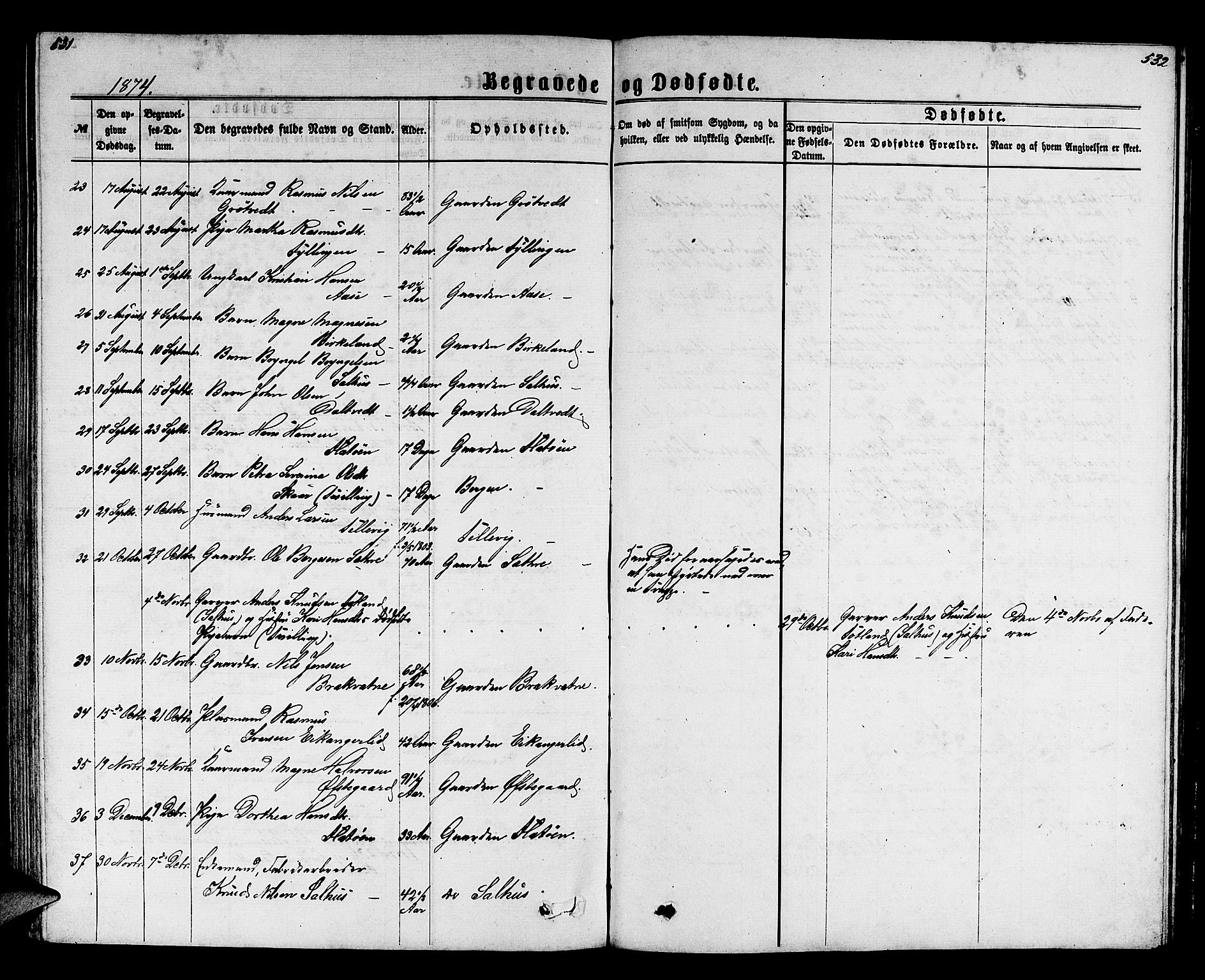 Hamre sokneprestembete, SAB/A-75501/H/Ha/Hab: Parish register (copy) no. B 2, 1863-1880, p. 531-532