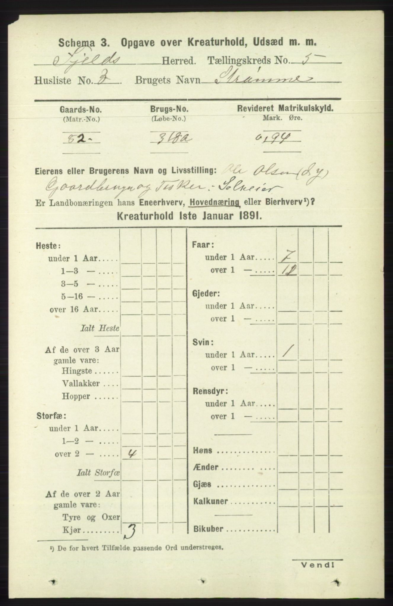 RA, 1891 census for 1246 Fjell, 1891, p. 4517