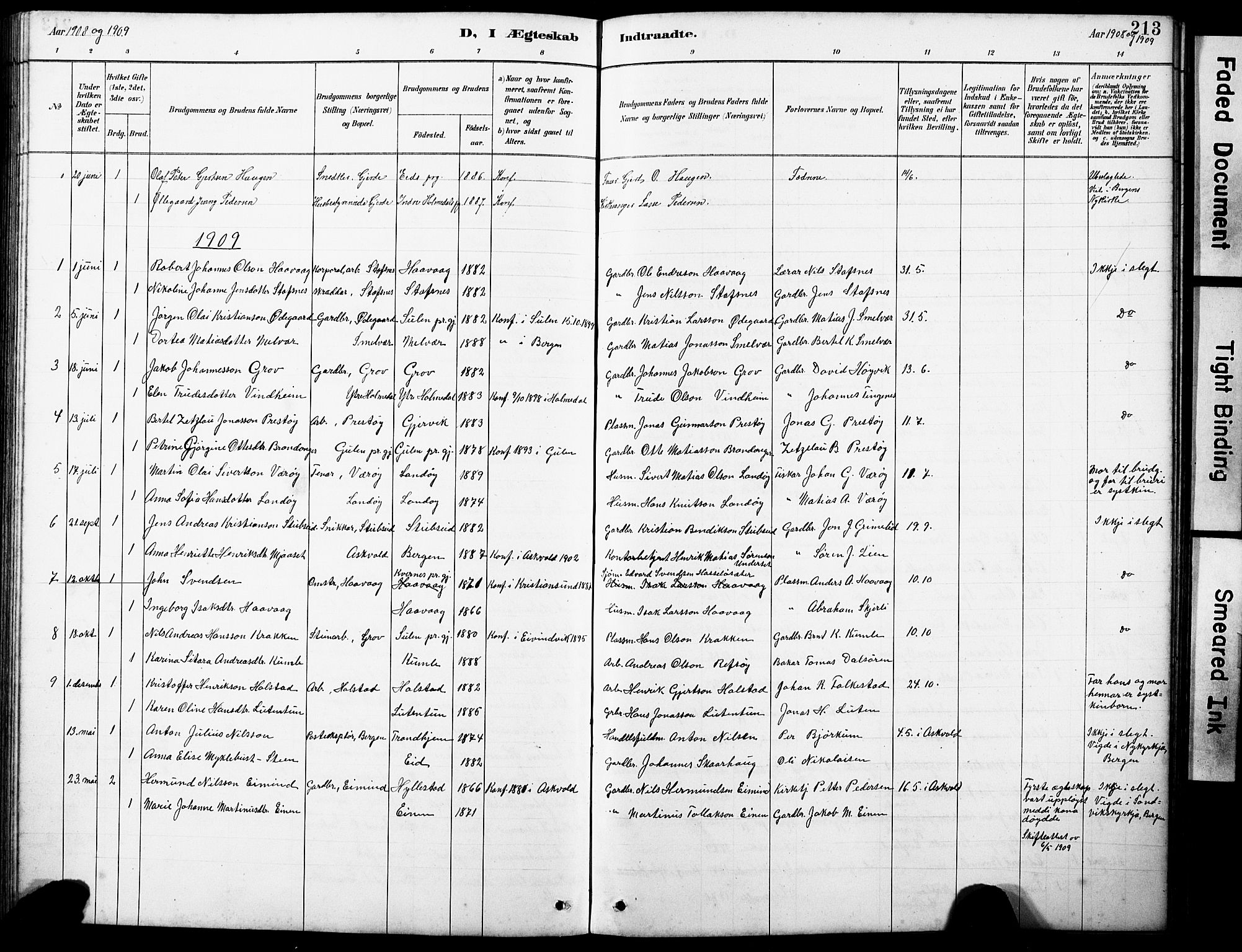 Askvoll sokneprestembete, SAB/A-79501/H/Hab/Haba/L0003: Parish register (copy) no. A 3, 1886-1928, p. 213