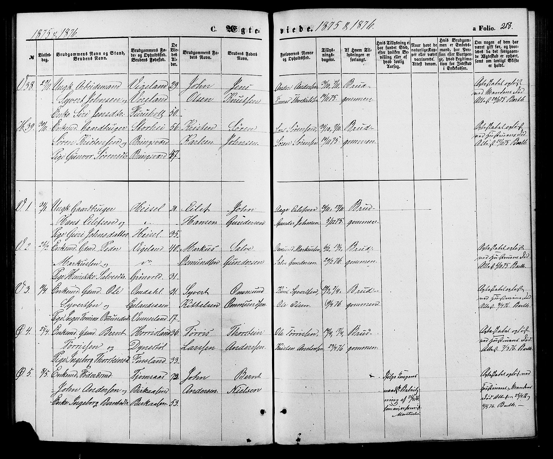 Vennesla sokneprestkontor, SAK/1111-0045/Fa/Fac/L0008: Parish register (official) no. A 8, 1874-1883, p. 218