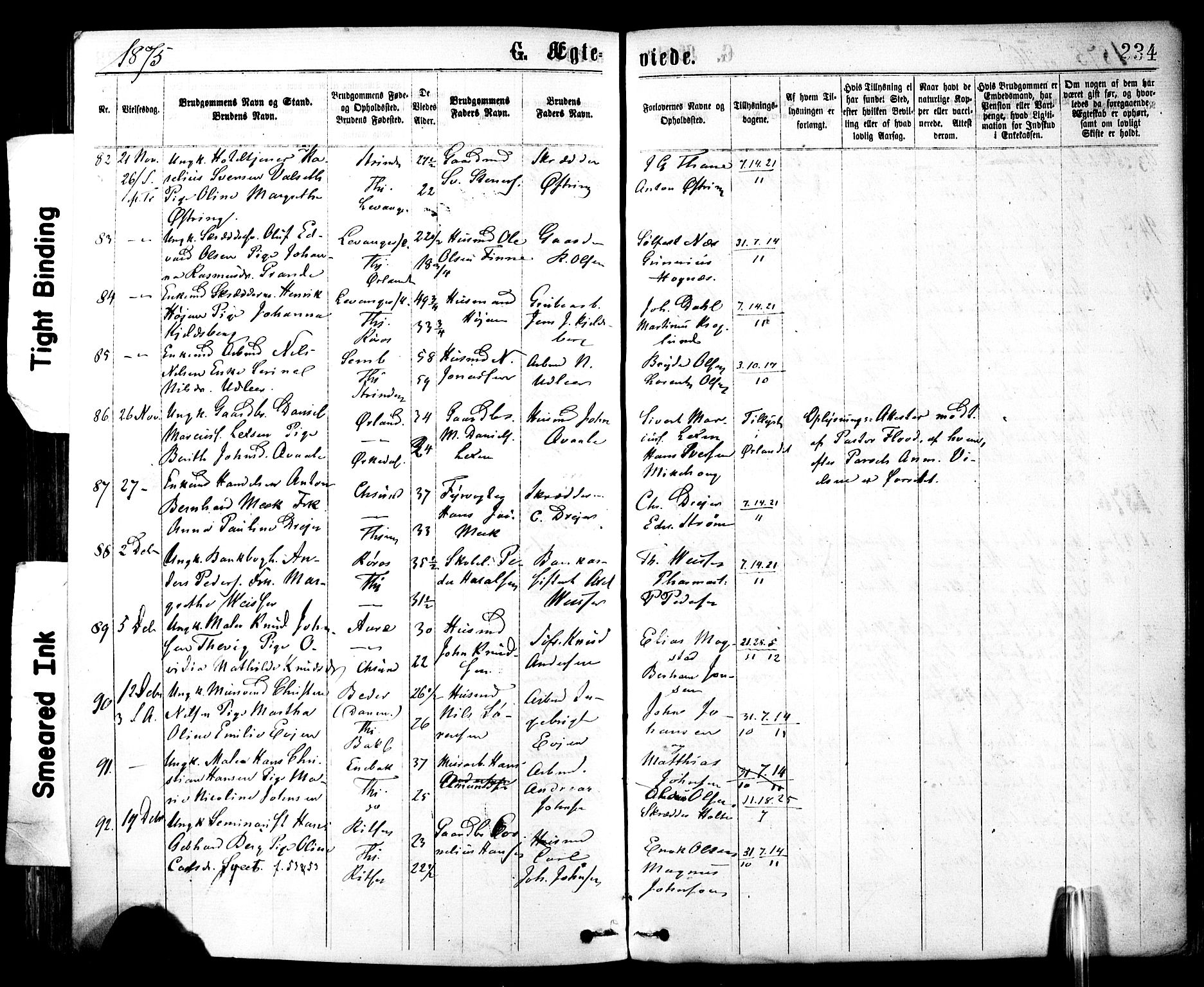 Ministerialprotokoller, klokkerbøker og fødselsregistre - Sør-Trøndelag, SAT/A-1456/602/L0118: Parish register (official) no. 602A16, 1873-1879, p. 234