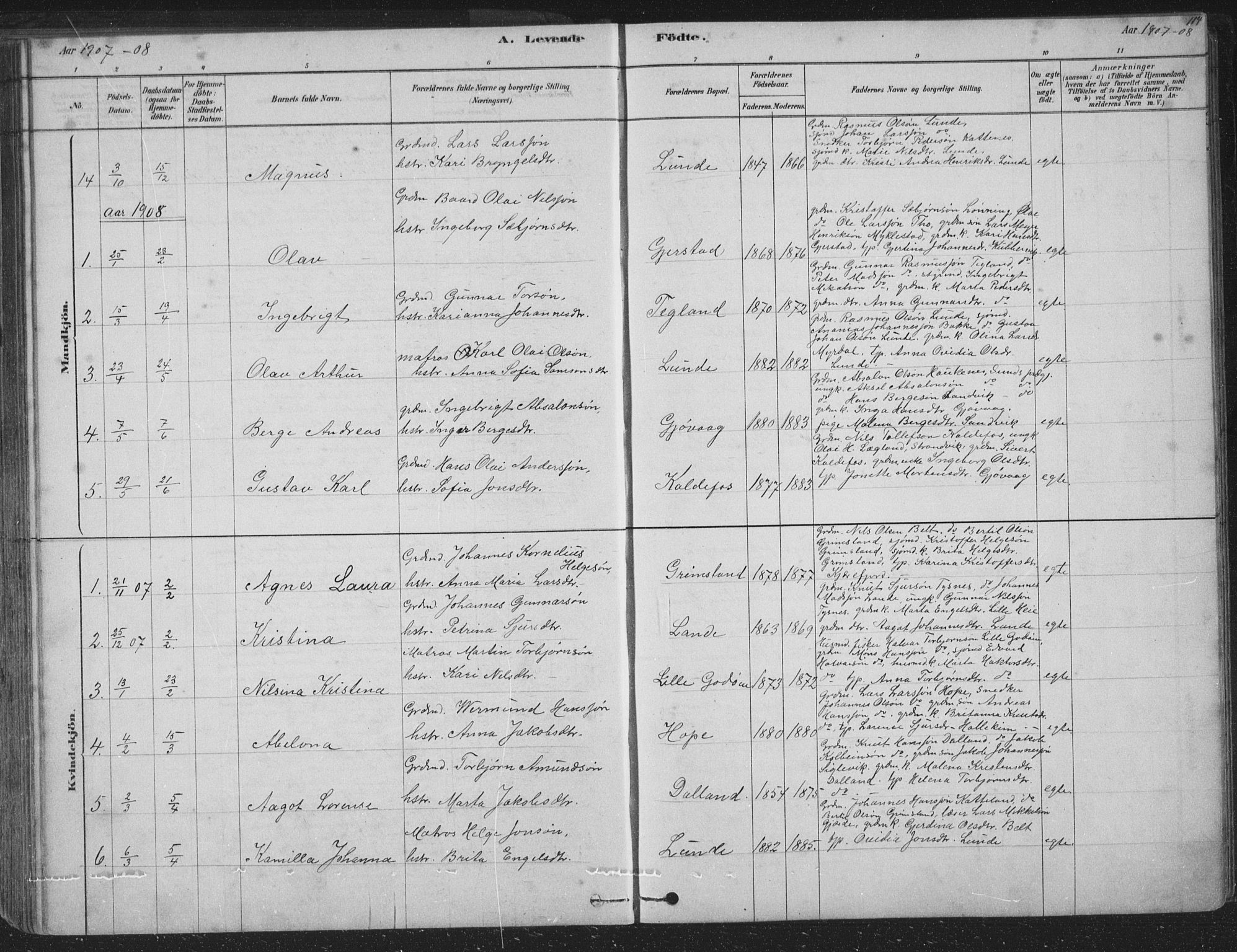 Tysnes sokneprestembete, SAB/A-78601/H/Hab: Parish register (copy) no. B 2, 1878-1918, p. 114