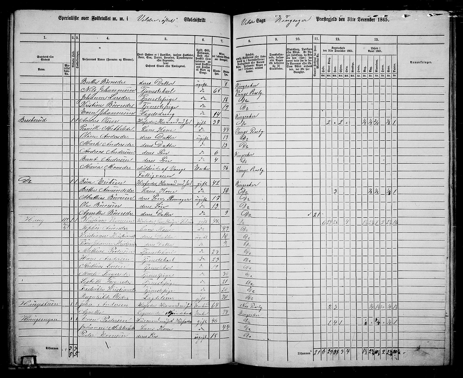 RA, 1865 census for Ringsaker, 1865, p. 181