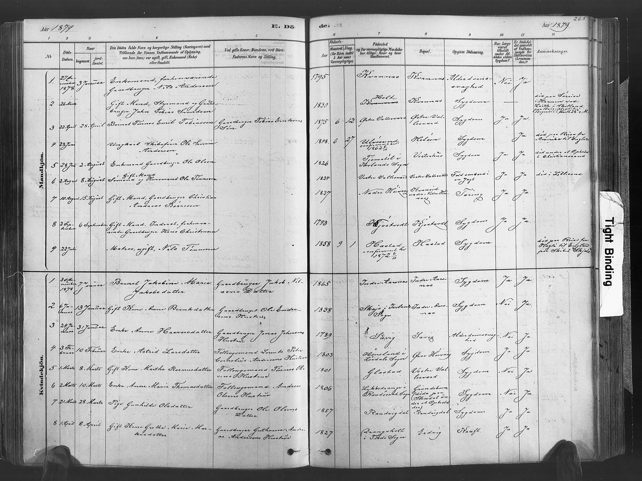 Høvåg sokneprestkontor, SAK/1111-0025/F/Fa/L0005: Parish register (official) no. A 5, 1878-1893, p. 265