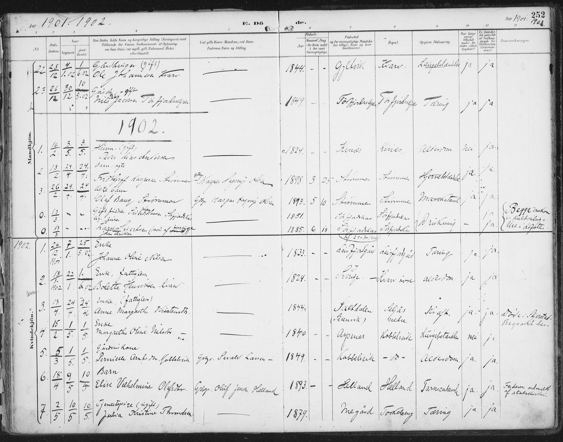 Ministerialprotokoller, klokkerbøker og fødselsregistre - Nordland, SAT/A-1459/854/L0779: Parish register (official) no. 854A02, 1892-1909, p. 252