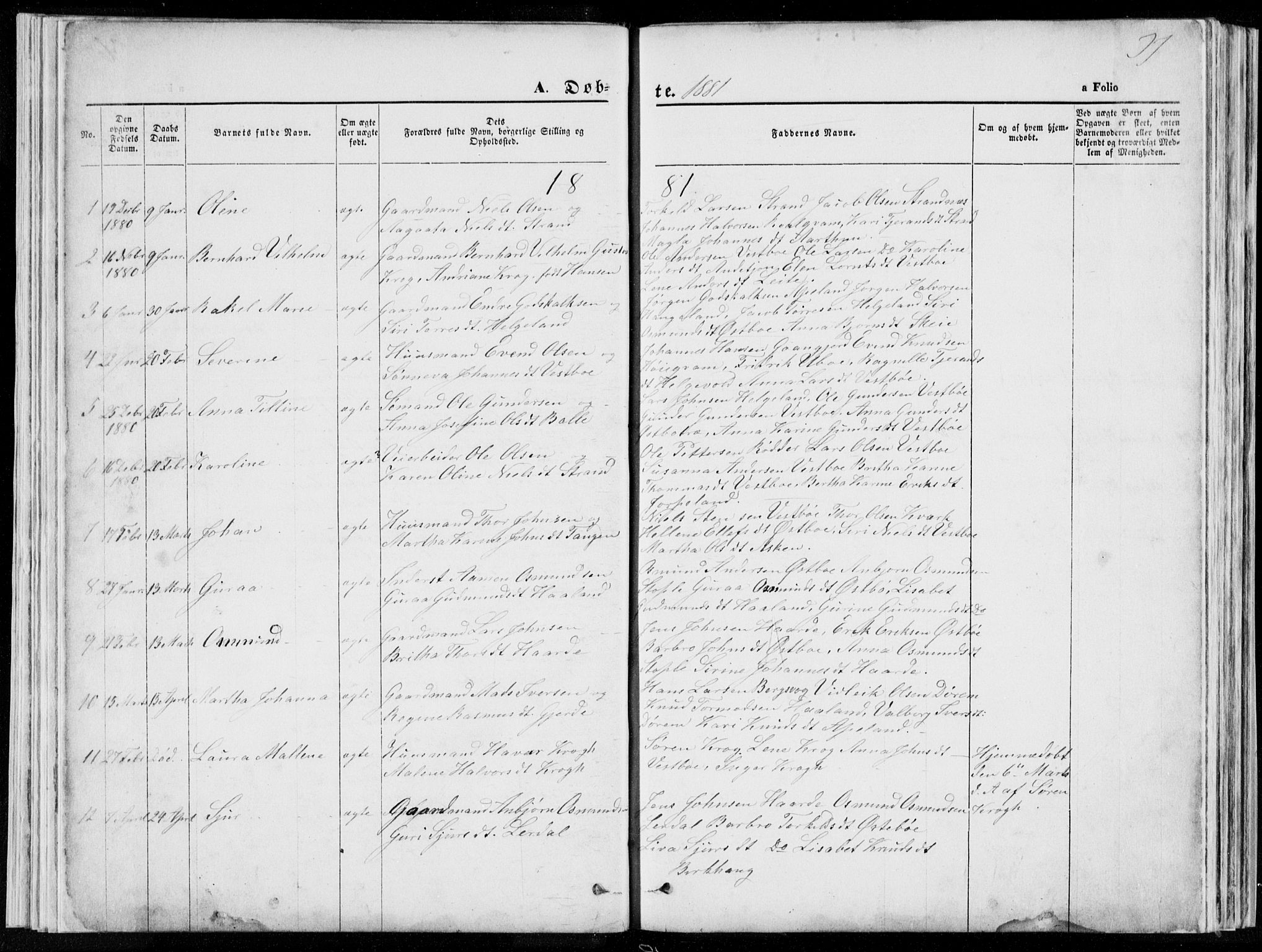 Vikedal sokneprestkontor, SAST/A-101840/01/V: Parish register (copy) no. B 10, 1864-1926, p. 37